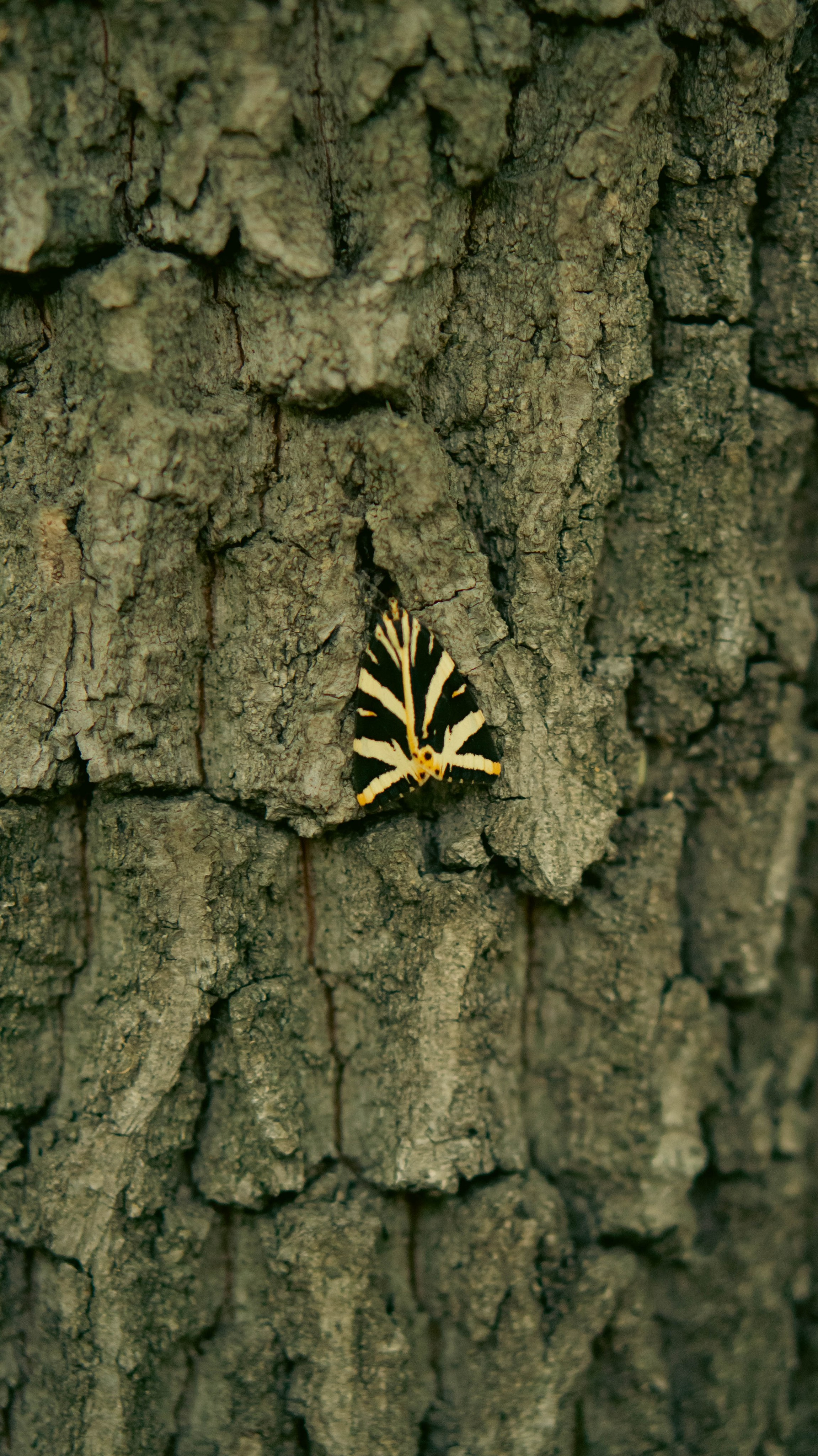 Дпрья. ФОТОГРАФ САРАТОВ