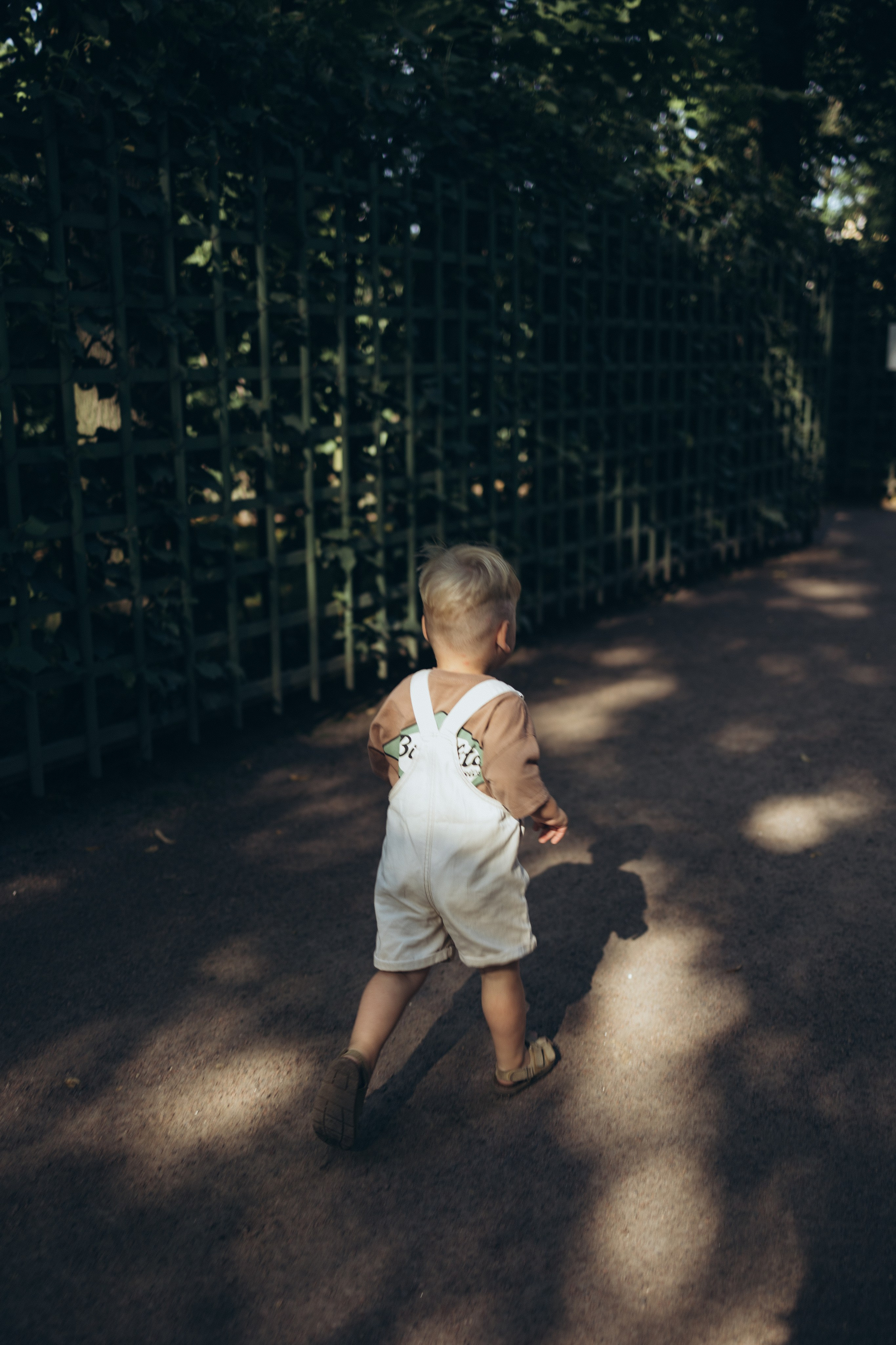 Бегом по летнему Петербургу. Фотограф из Петербурга