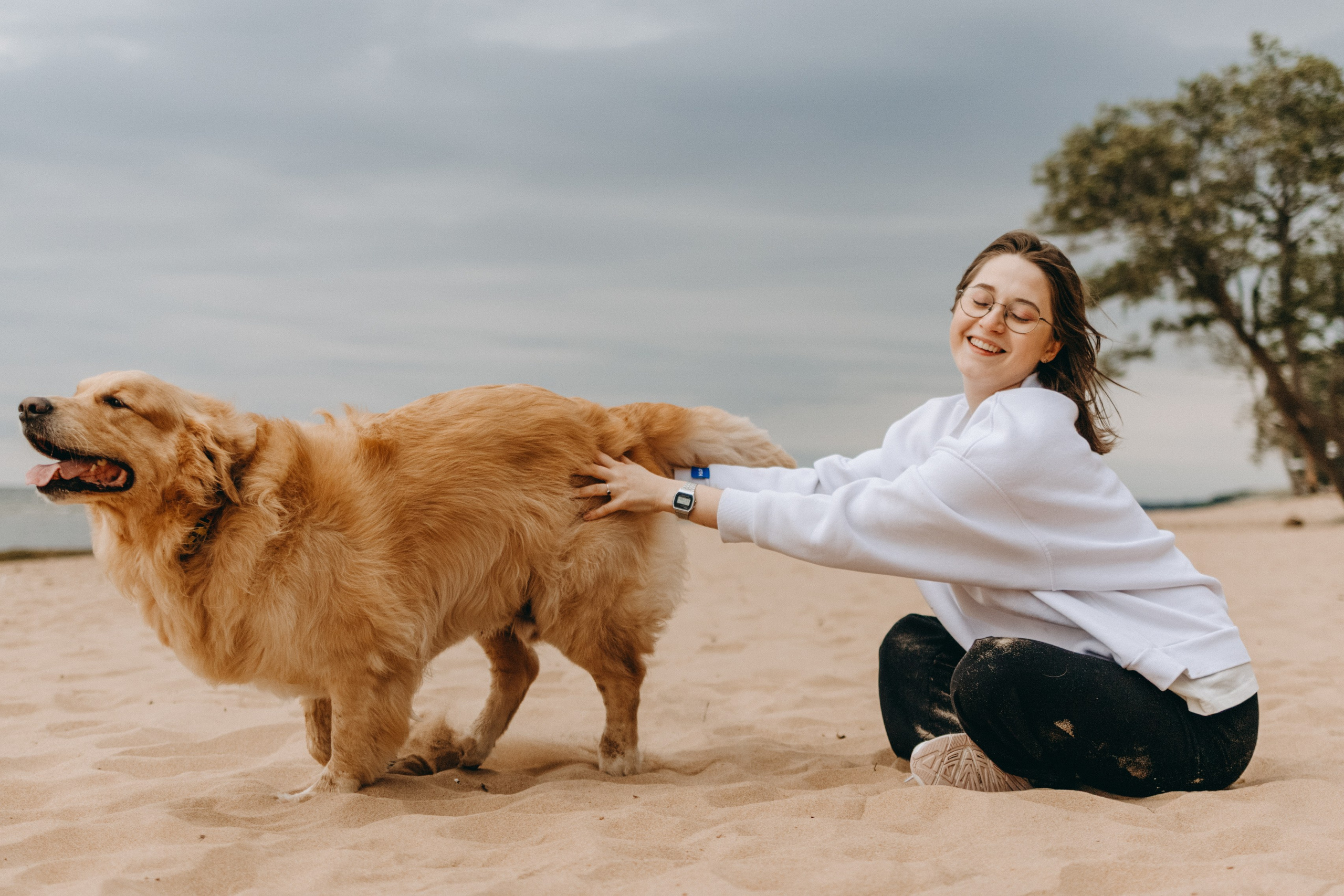 Фоси и его семьи. Фотограф — Анималист | Санкт-Петербург
