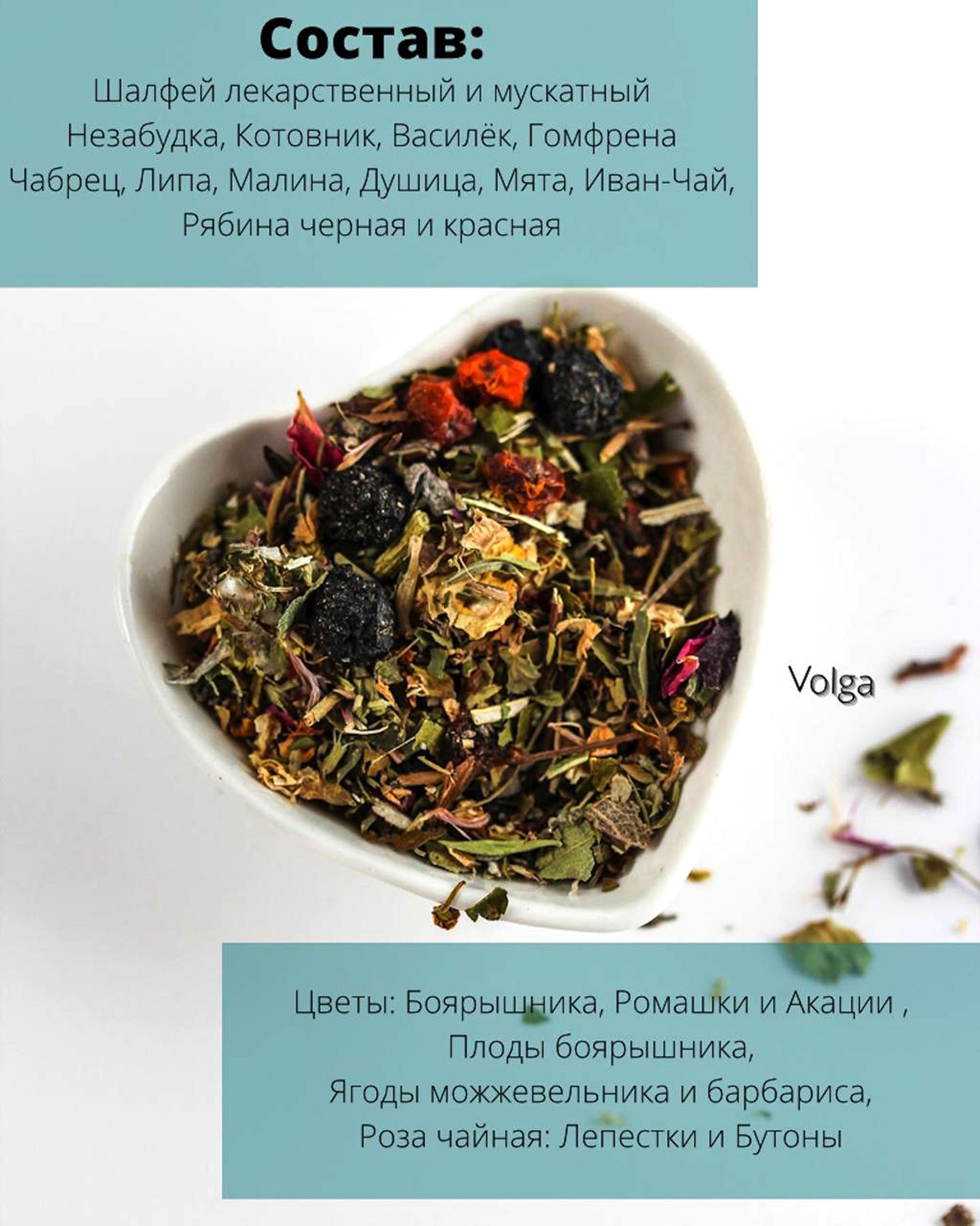 Инфографика. Anushikcreates