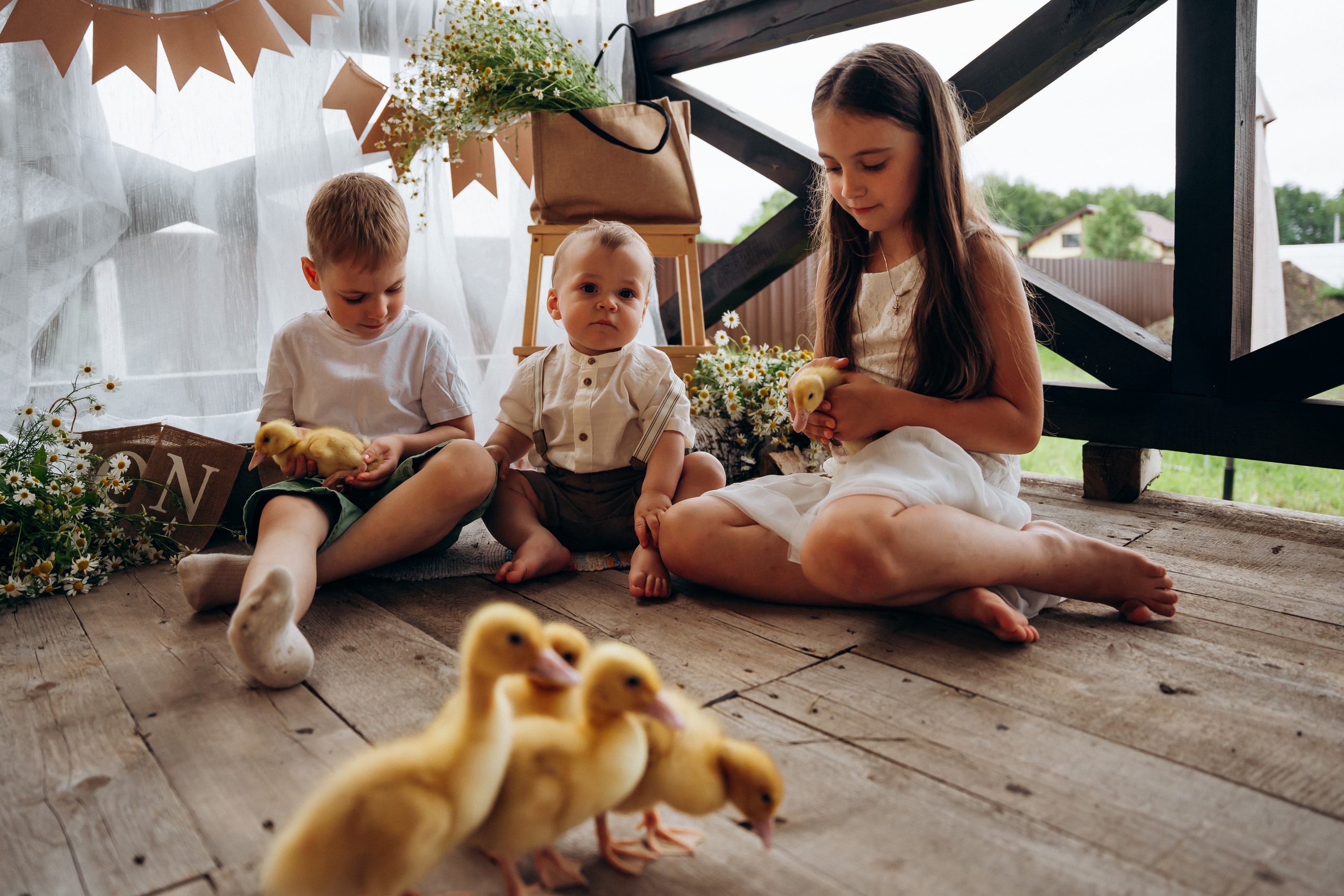 Утята. Главная