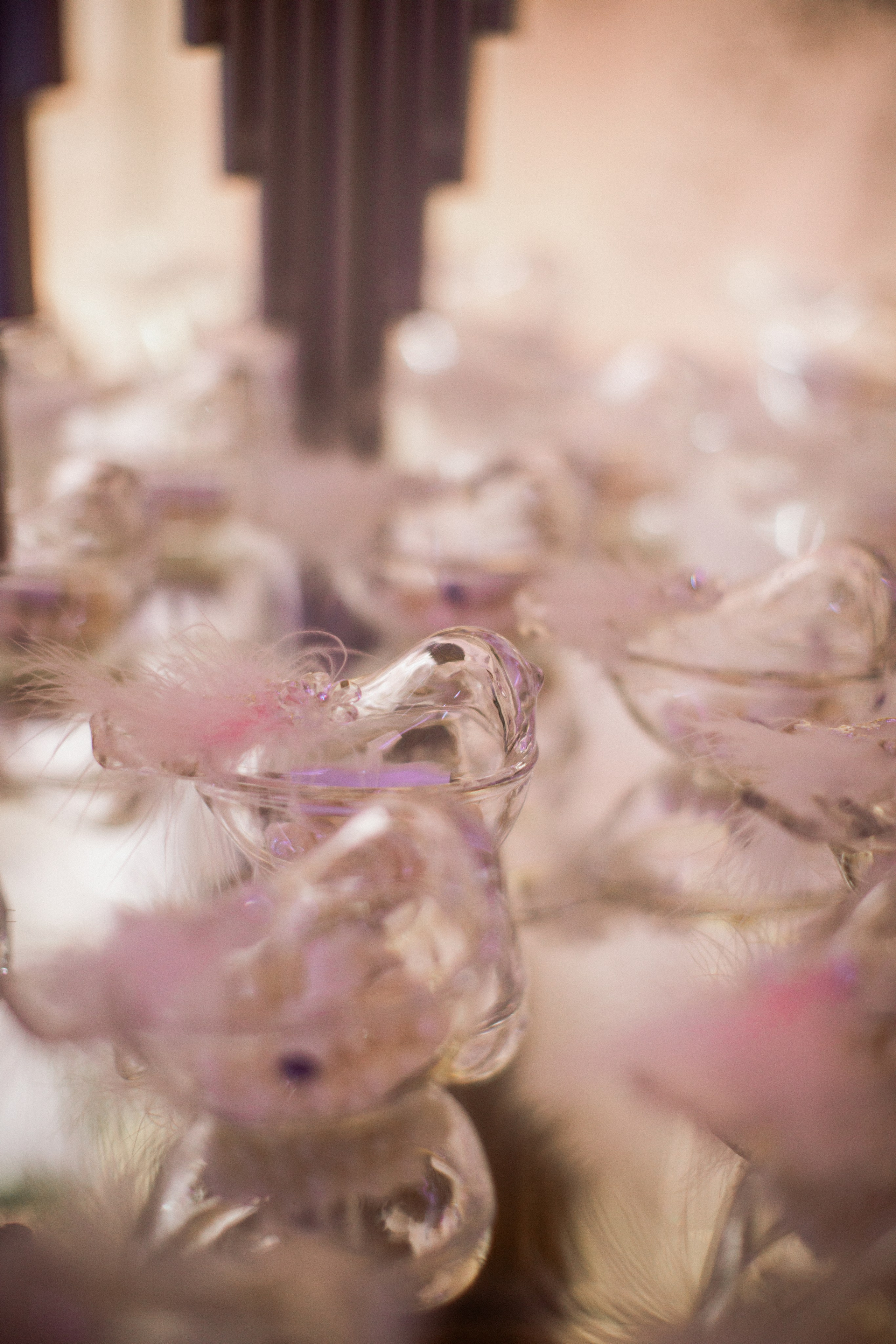 Марина & Давид. Фотограф Амирян Марина