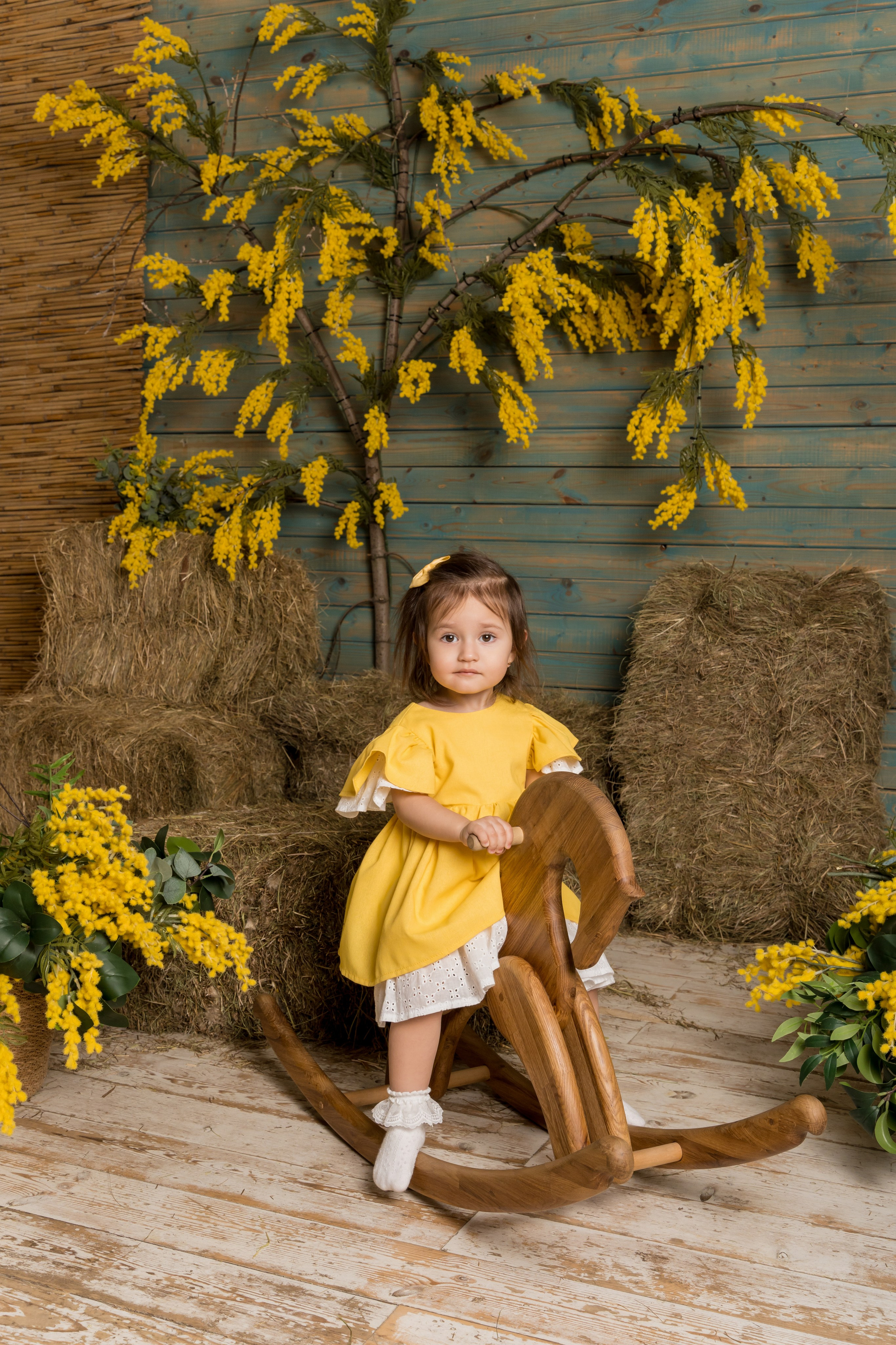 «Family studio». Анастасия Чиркова, Фотограф Москва