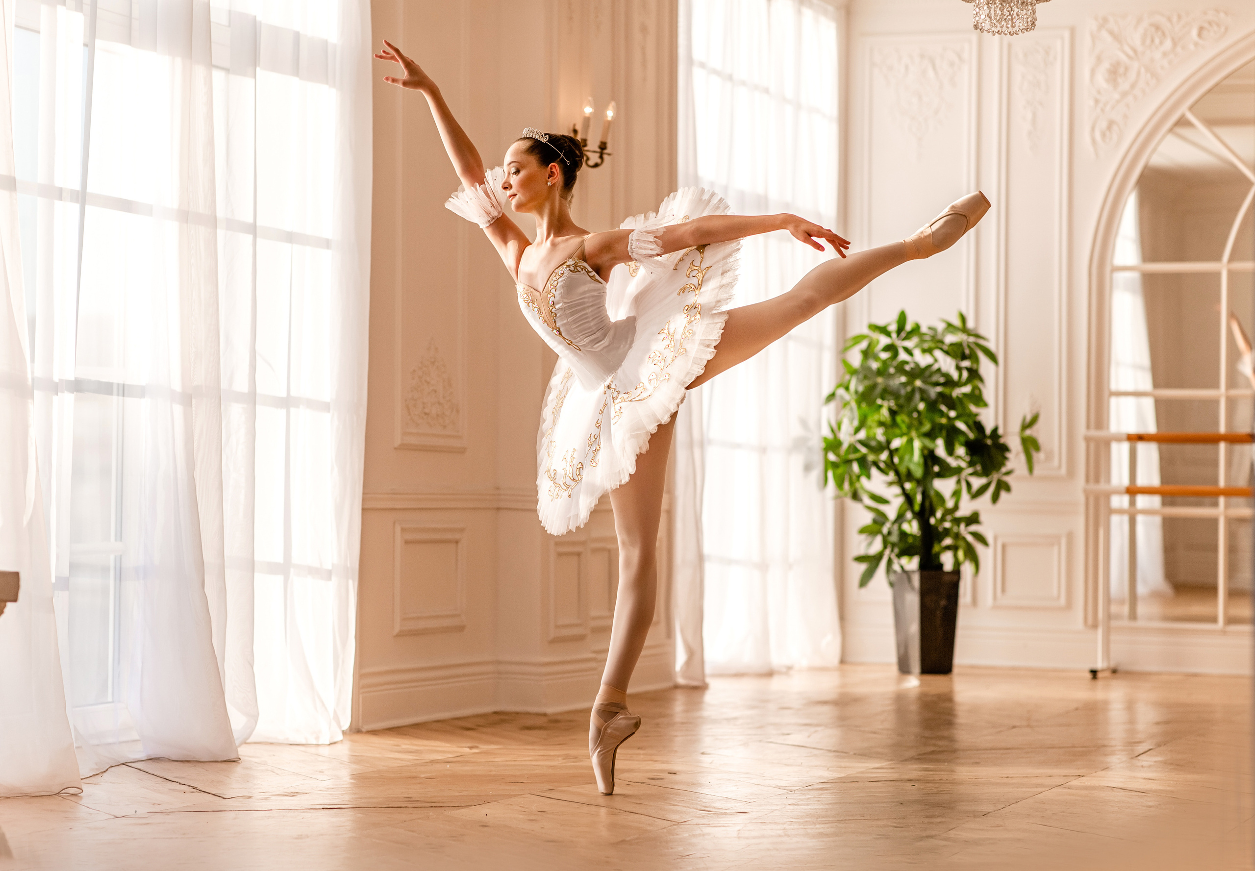 Балетная съёмка в интерьере. Балетный фотограф Алина Ханько — Душа Балета