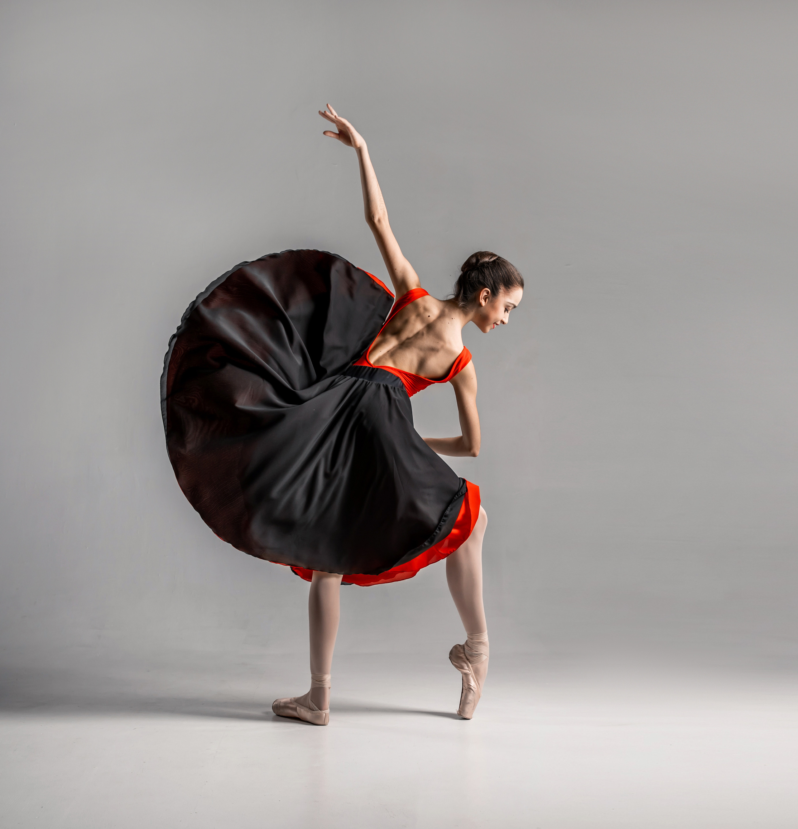 Юбки двусторонние Zidans разных цветов напрокат бесплатно. Балетный фотограф Алина Ханько — Душа Балета