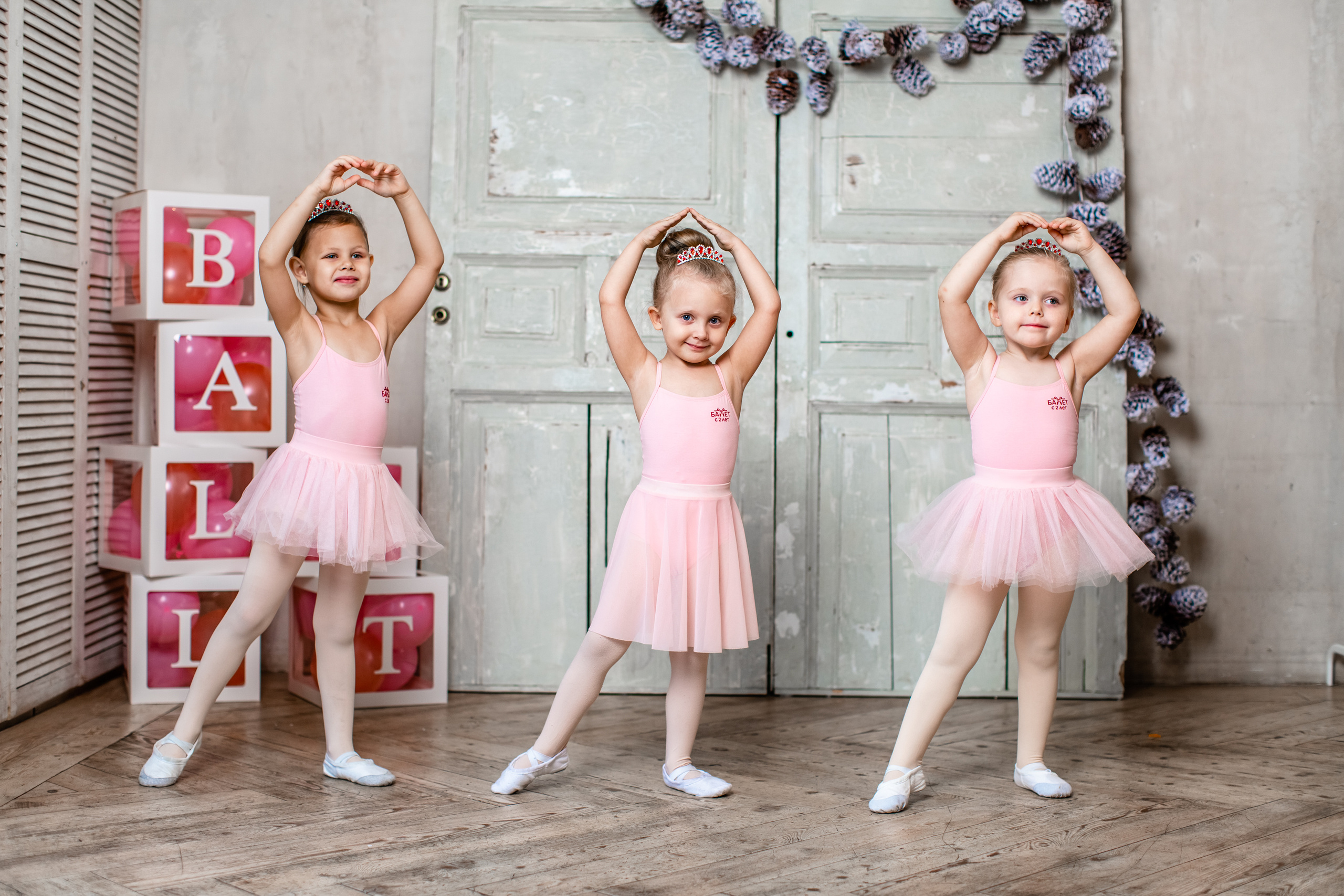 Коллективная фотосъёмка. Балетный фотограф Алина Ханько — Душа Балета