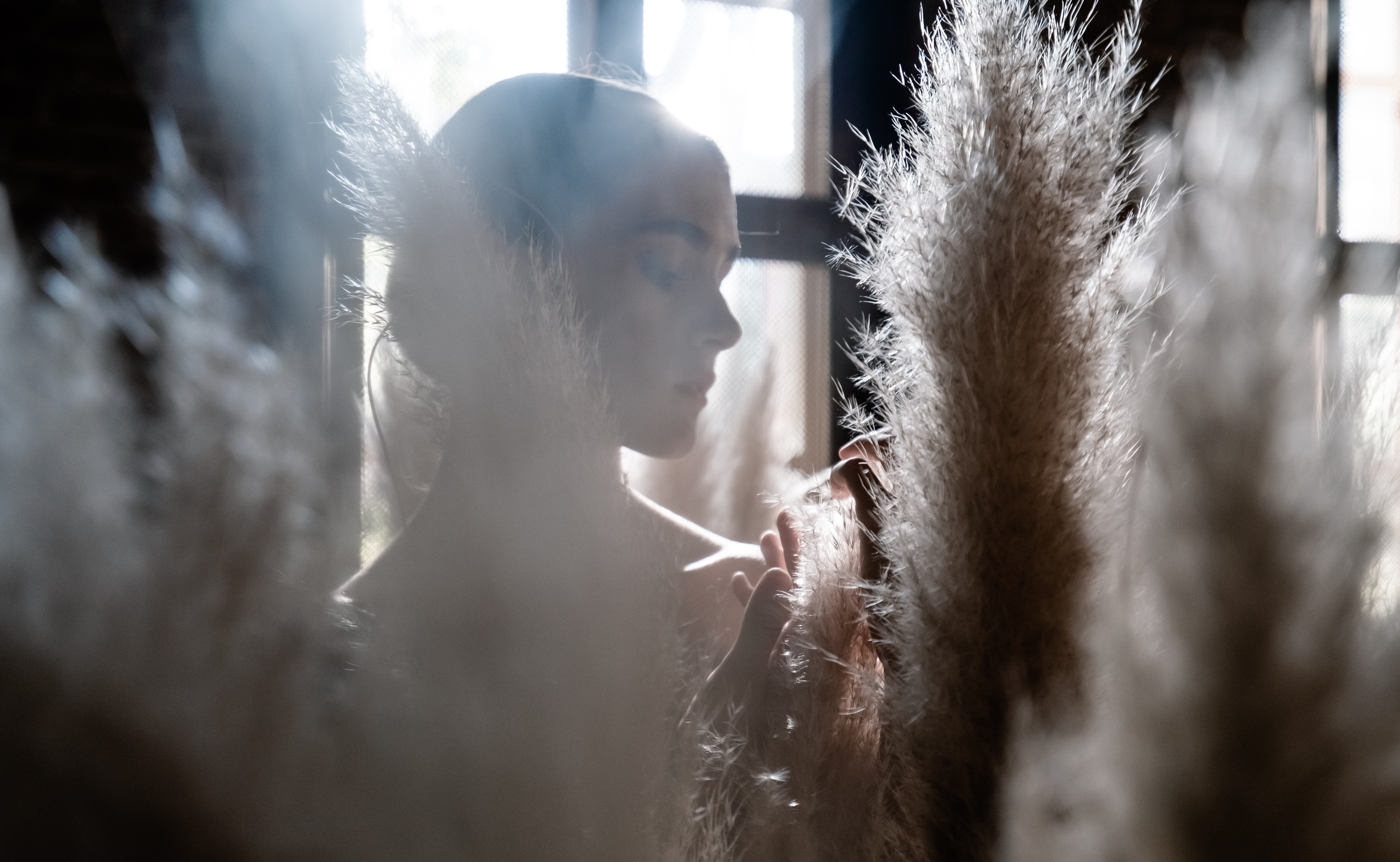 Балетная съёмка в интерьере. Балетный фотограф Алина Ханько — Душа Балета