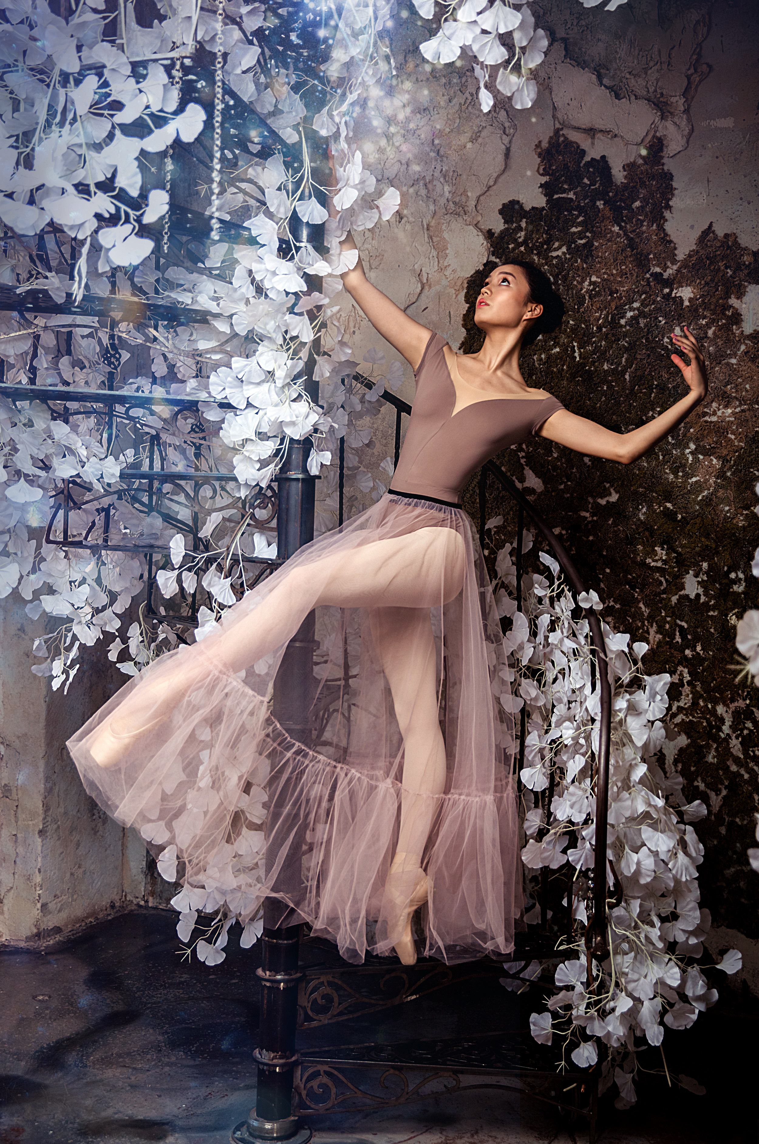 Балетная съёмка в интерьере. Балетный фотограф Алина Ханько — Душа Балета