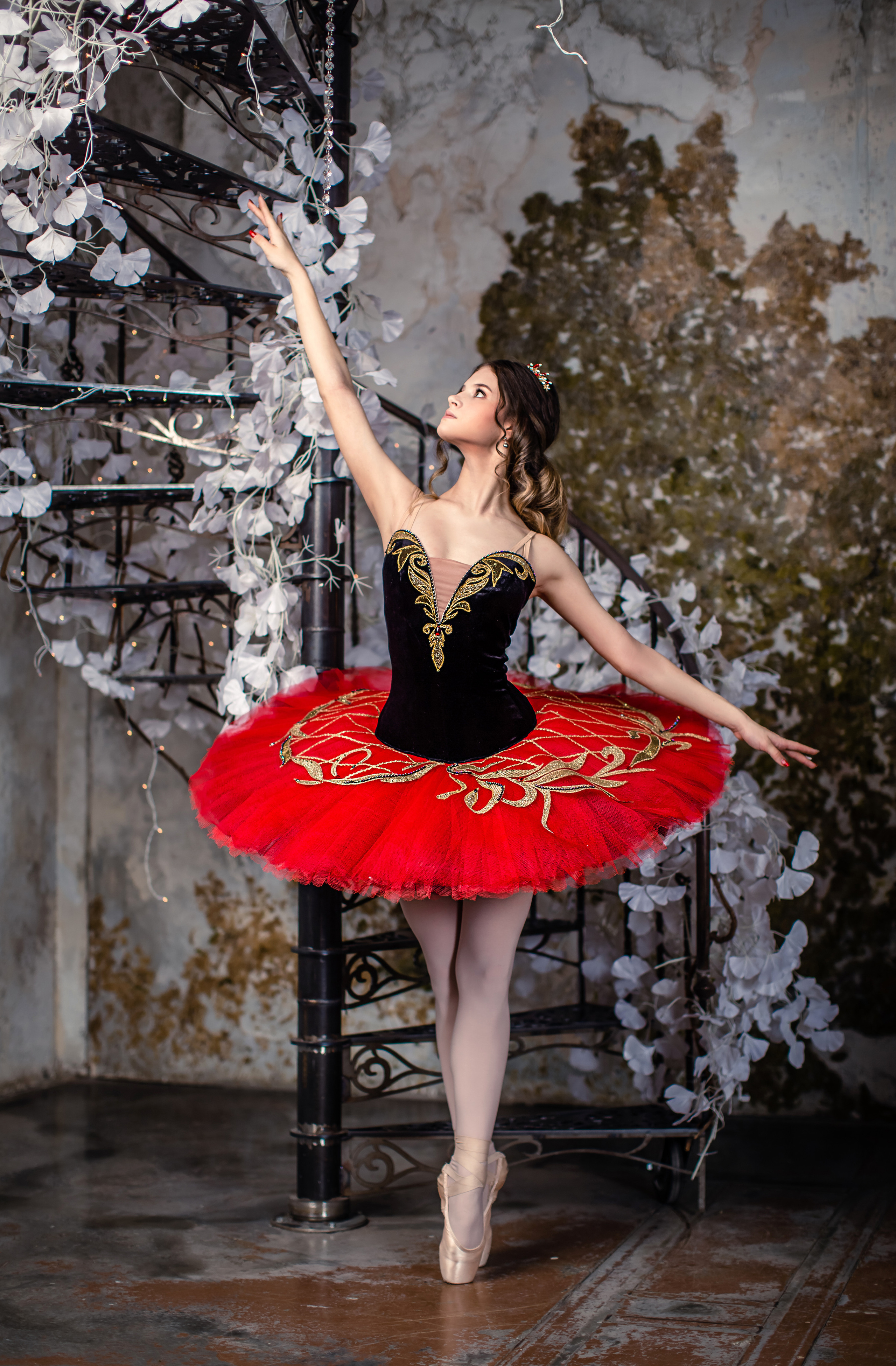 Балетная съёмка в интерьере. Балетный фотограф Алина Ханько — Душа Балета