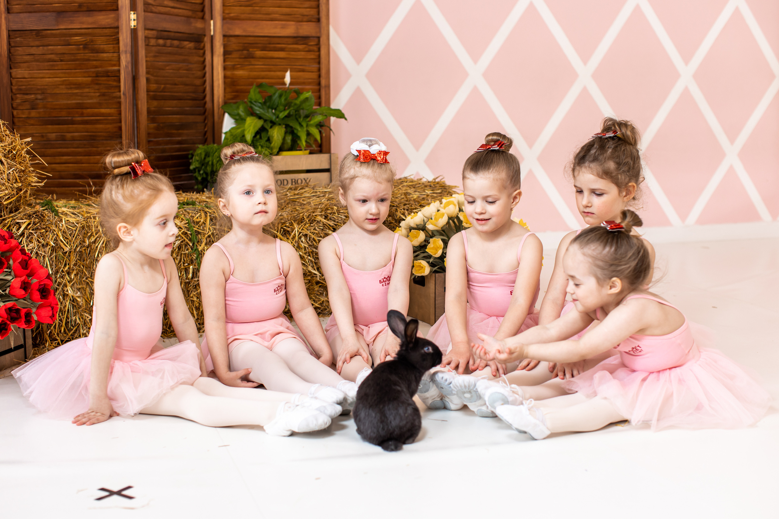 Коллективная фотосъёмка. Балетный фотограф Алина Ханько — Душа Балета