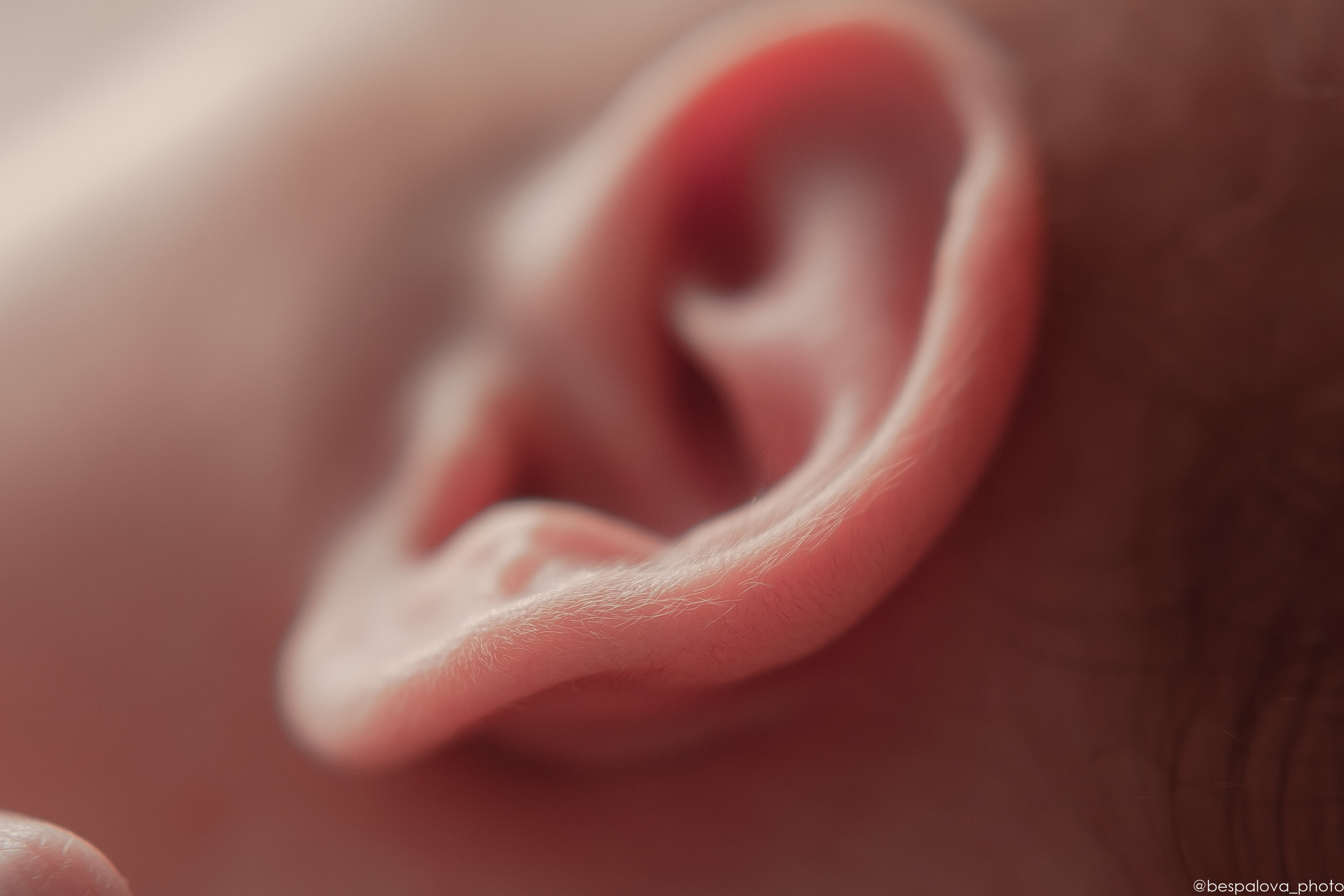 Фотограф новорождённых в г. Павлово