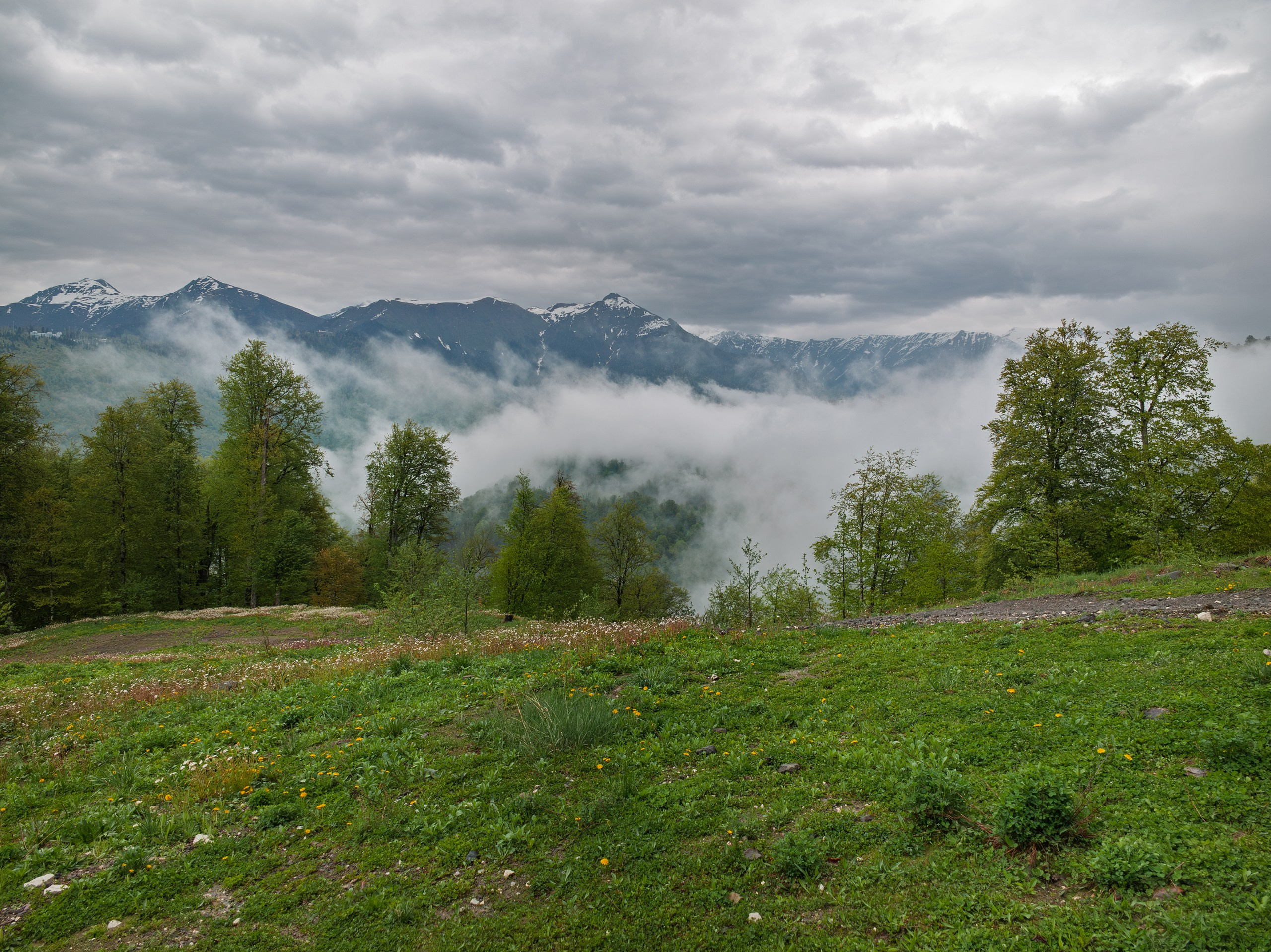 Мобилография. ThePhenomPhoto