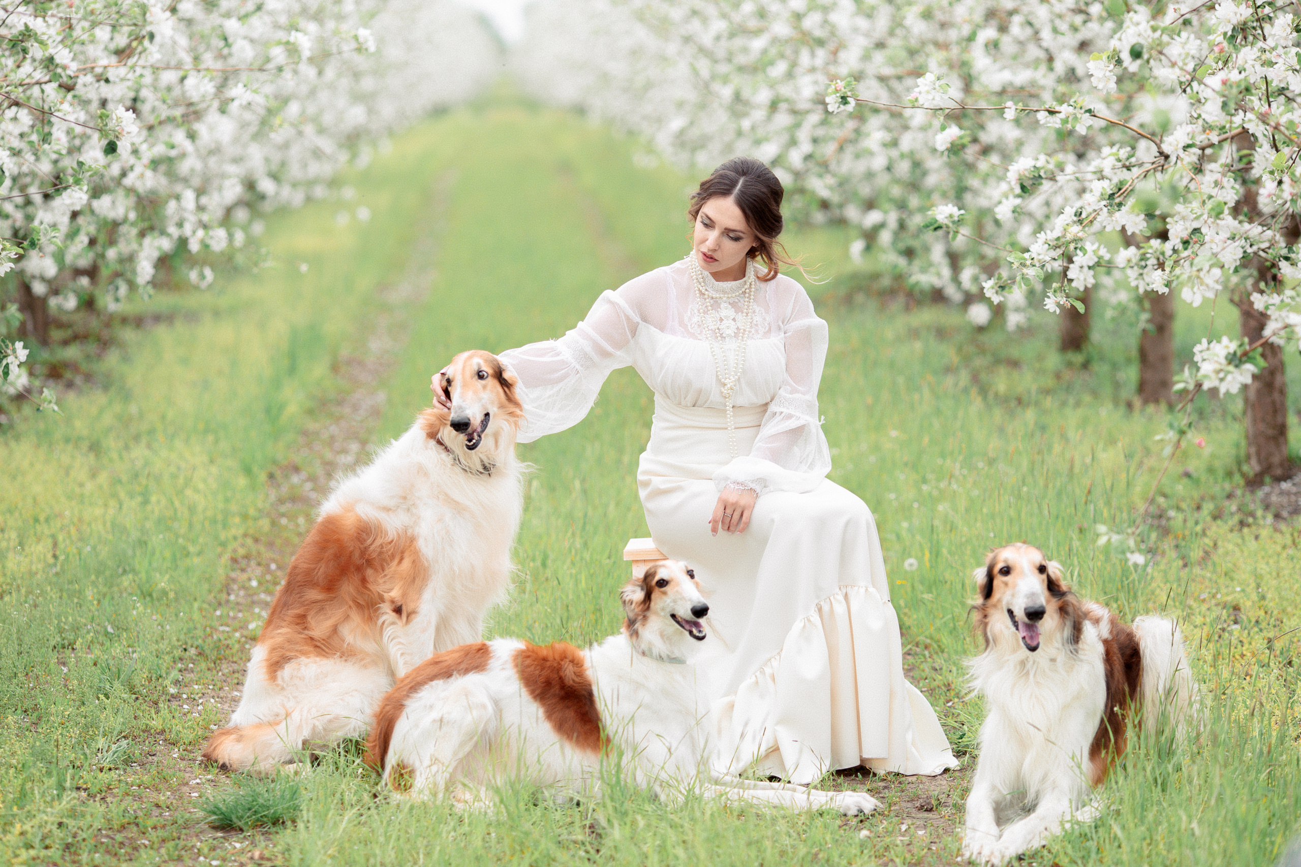 Фотосессия в садах. Свадебный фотограф в Краснодаре Алиса Михайленко