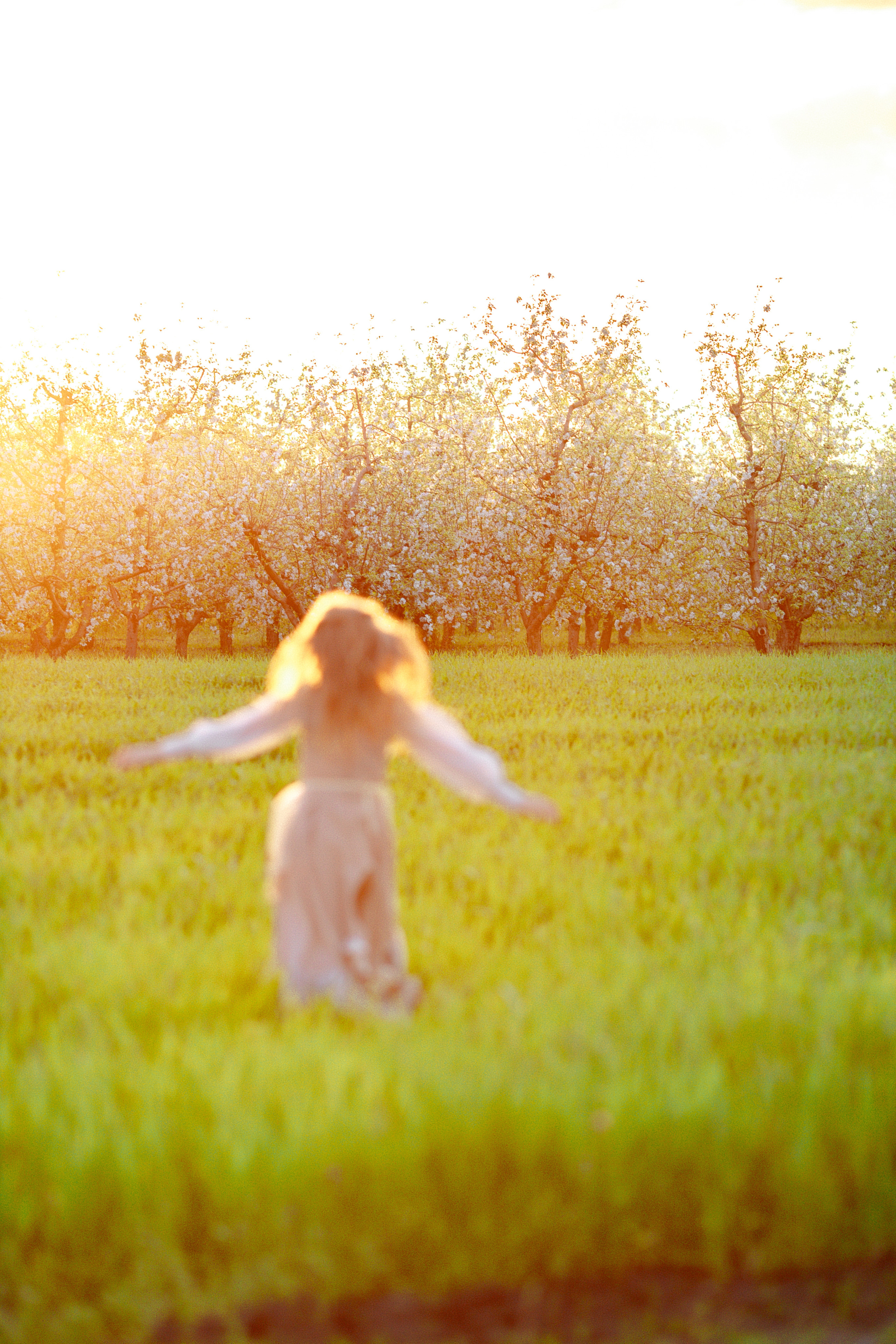 Фотосессия в садах. Свадебный фотограф в Краснодаре Алиса Михайленко