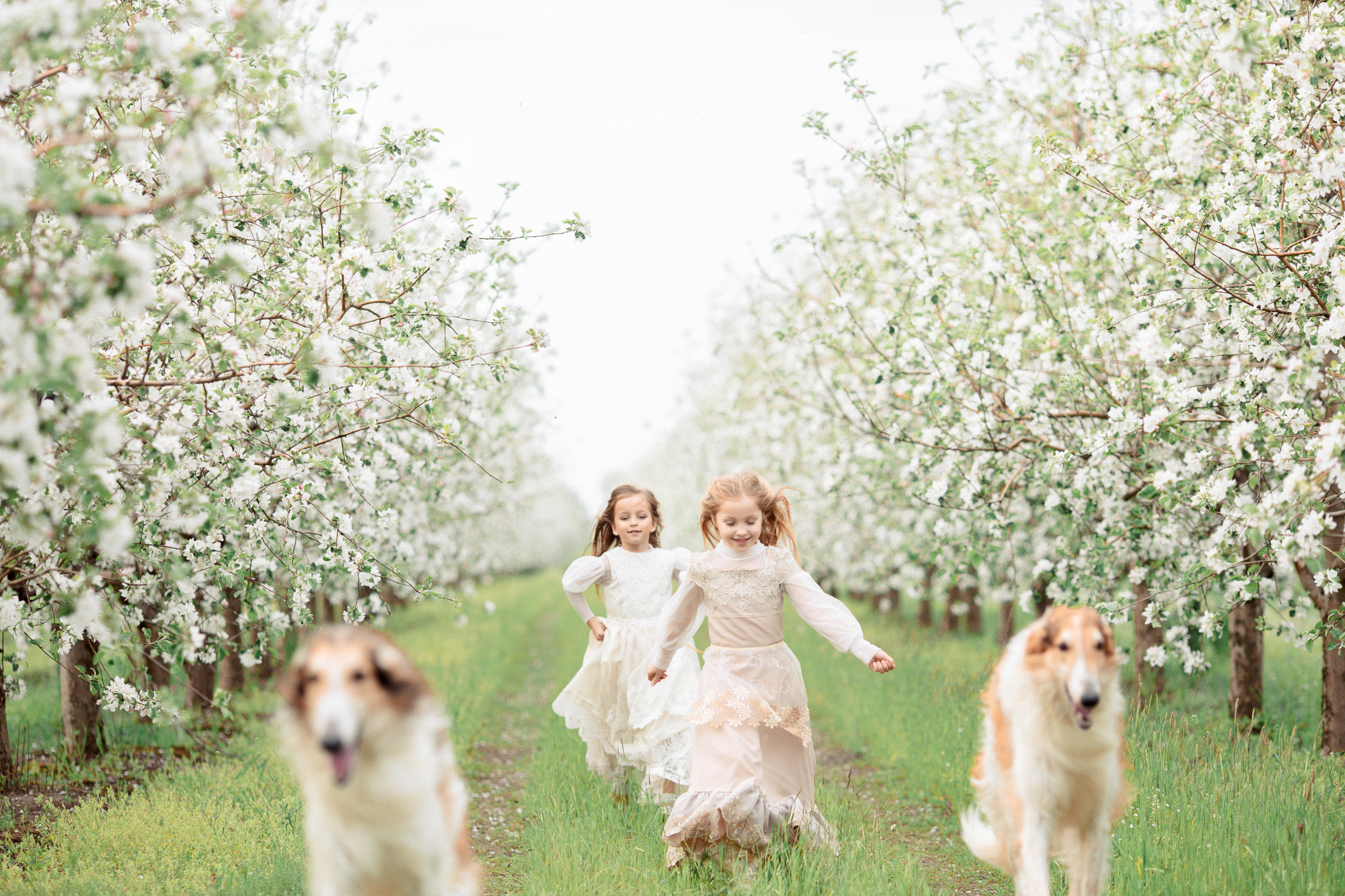 Фотосессия в садах. Свадебный фотограф в Краснодаре Алиса Михайленко