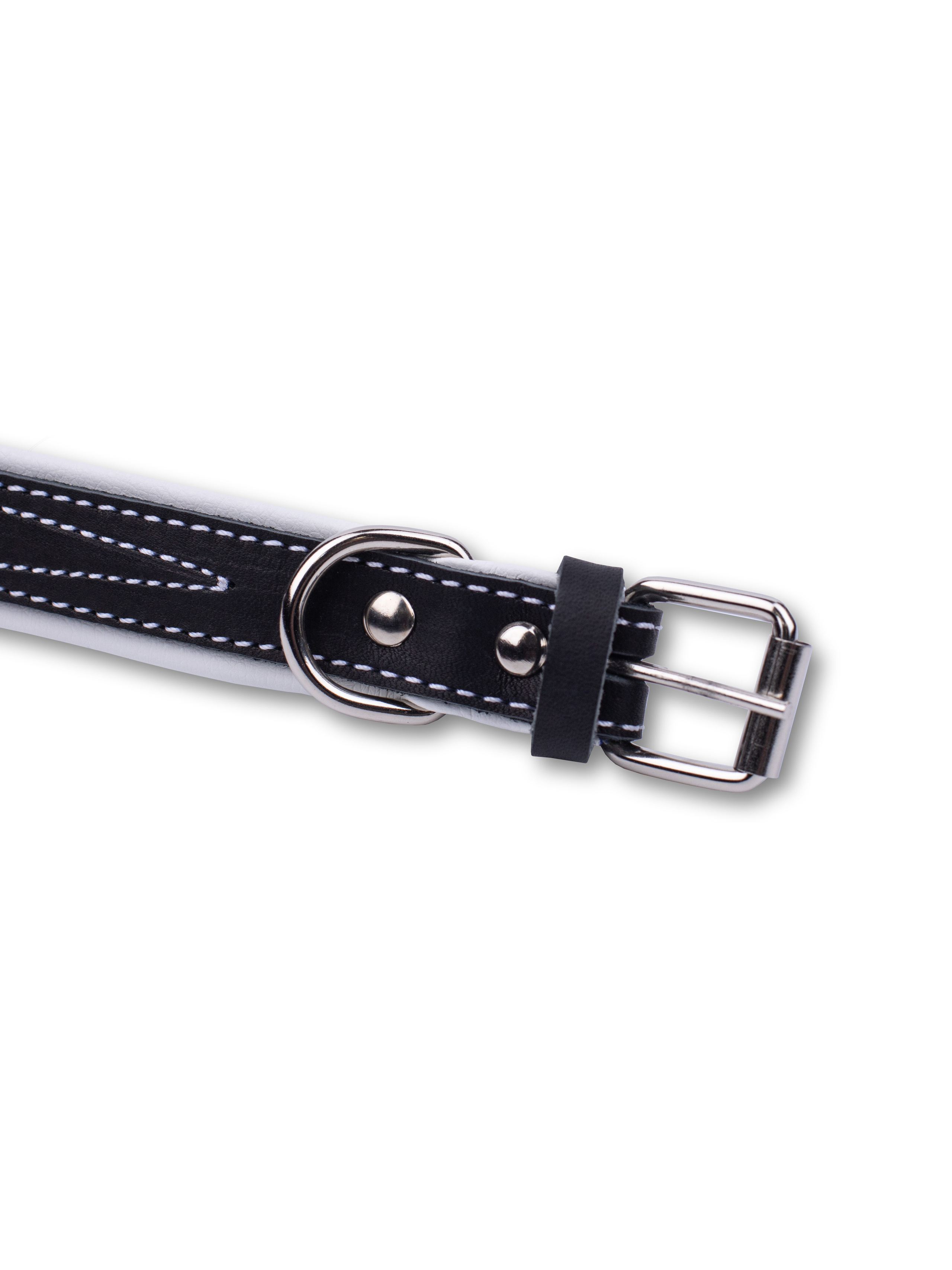 Товары для животных. Предметная фотосъемка. Москва