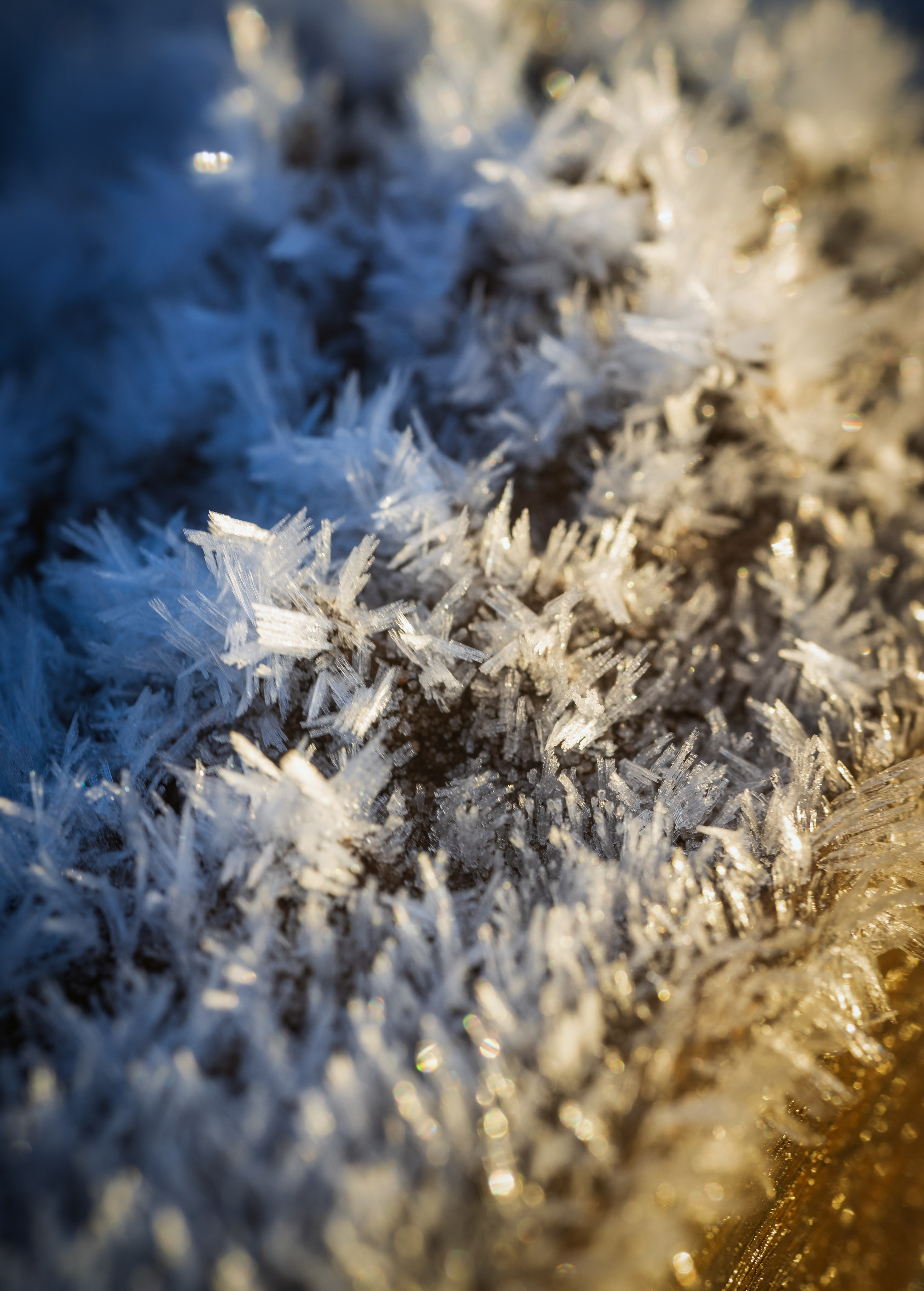 Кондуки. Фотохудожник Артём Парамонов