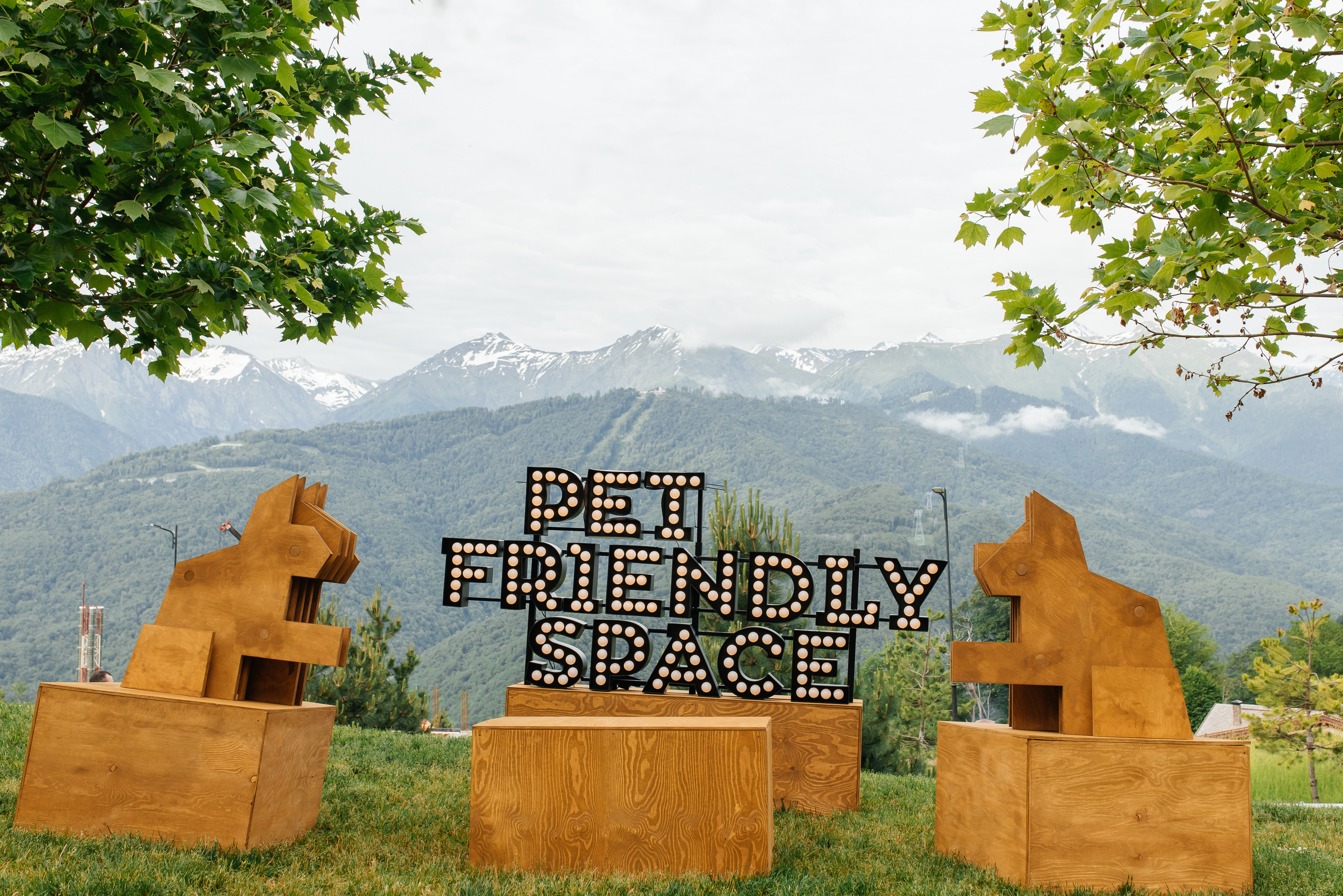 Репортаж деловых, спортивных событий и концертов