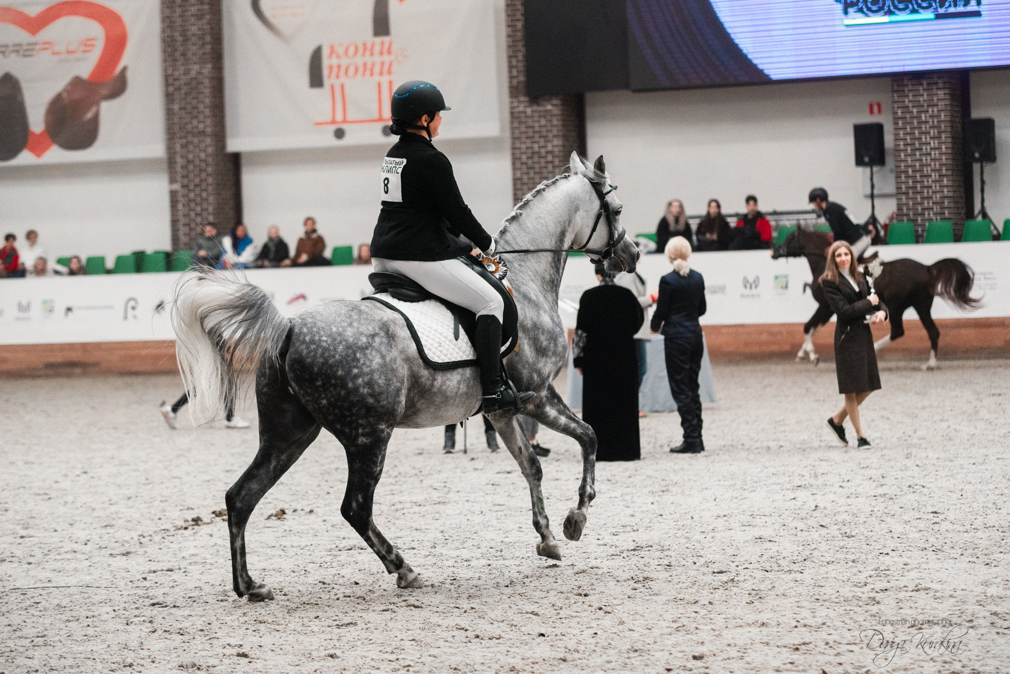 8-я международная выставка Конная Россия. Конный фотограф Куракина Дарья • Фотосессии с лошадьми