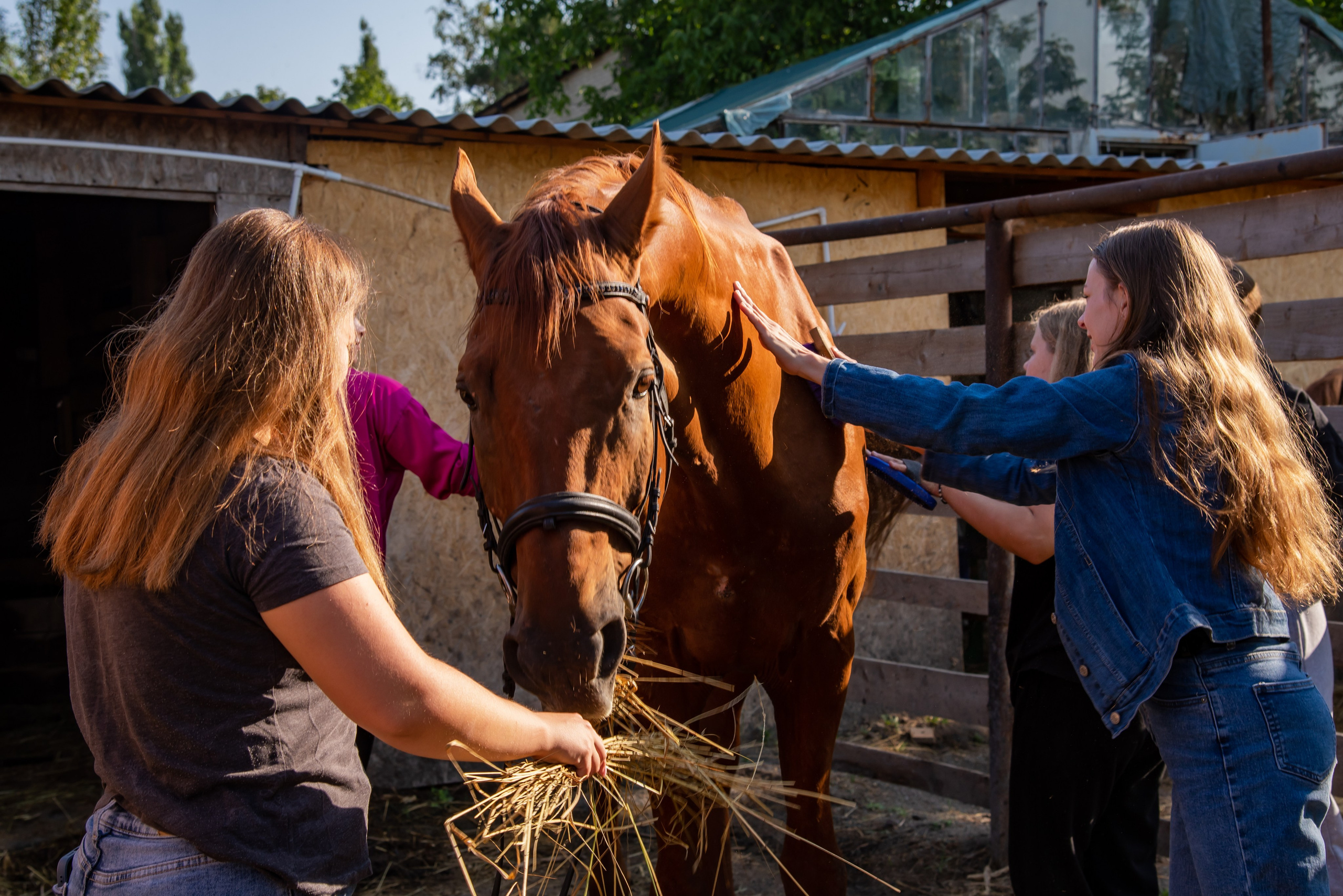 Конная прогулка. Фотограф Галина Нестерова