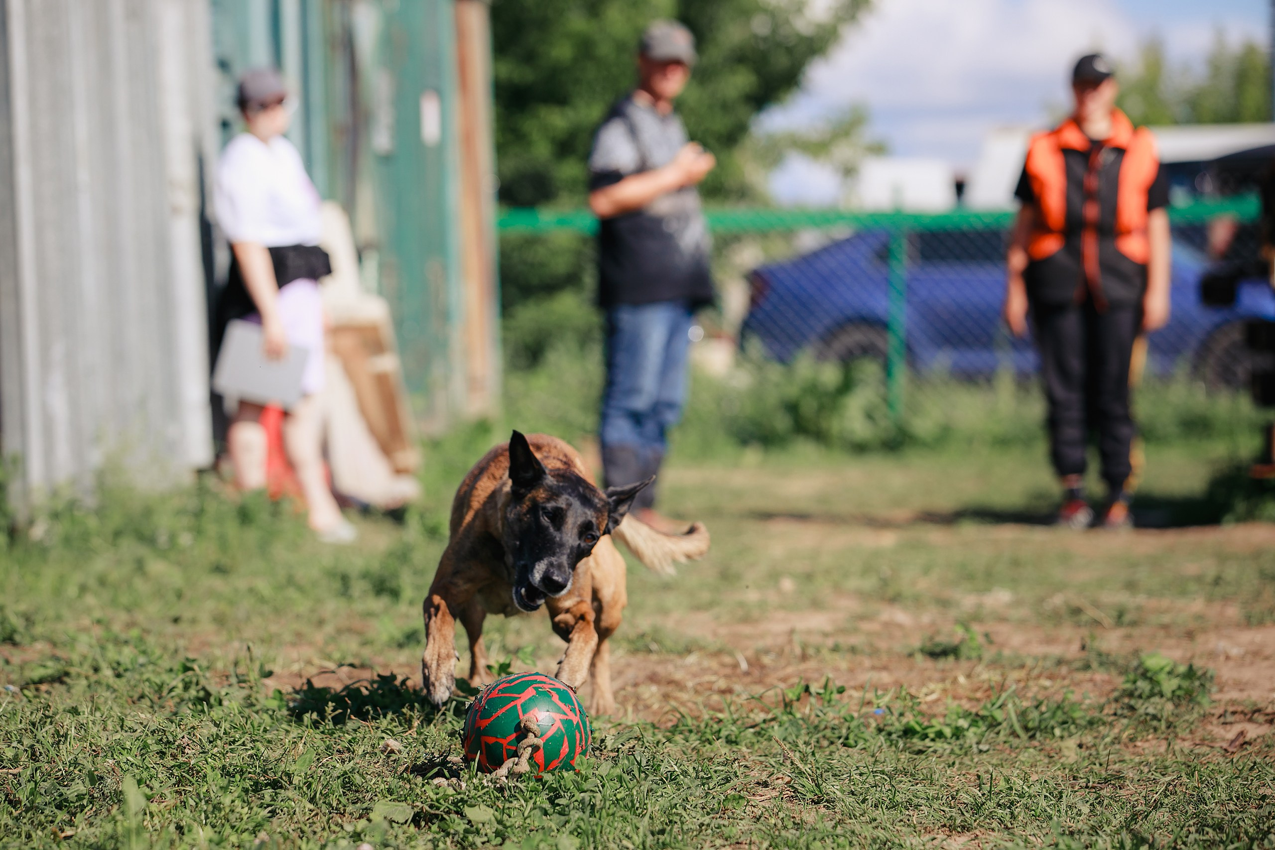 Мондьоринг М1, М2, М3, Вологда. Фотограф-анималист Mary Mart — Москва, Питер