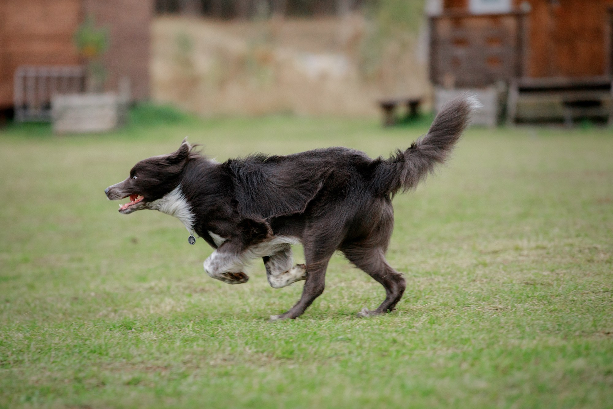 Лагерь по ОБД с Инной Баженовой. Фотограф-анималист Mary Mart — Москва, Питер