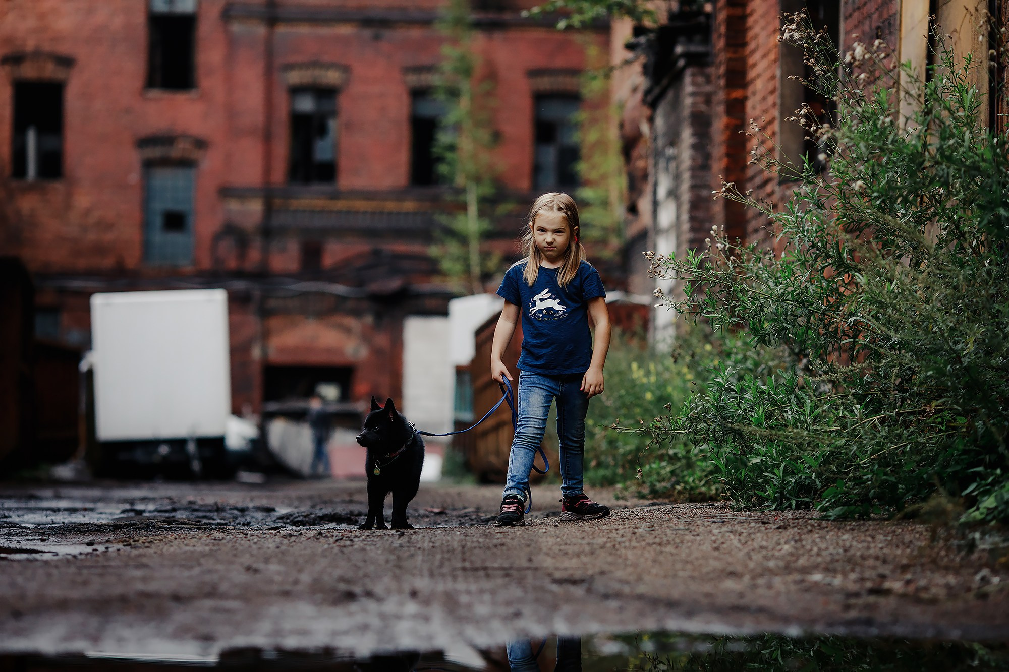 Саша, Маша и шипперке Йети. Фотограф-анималист Mary Mart — Москва, Питер