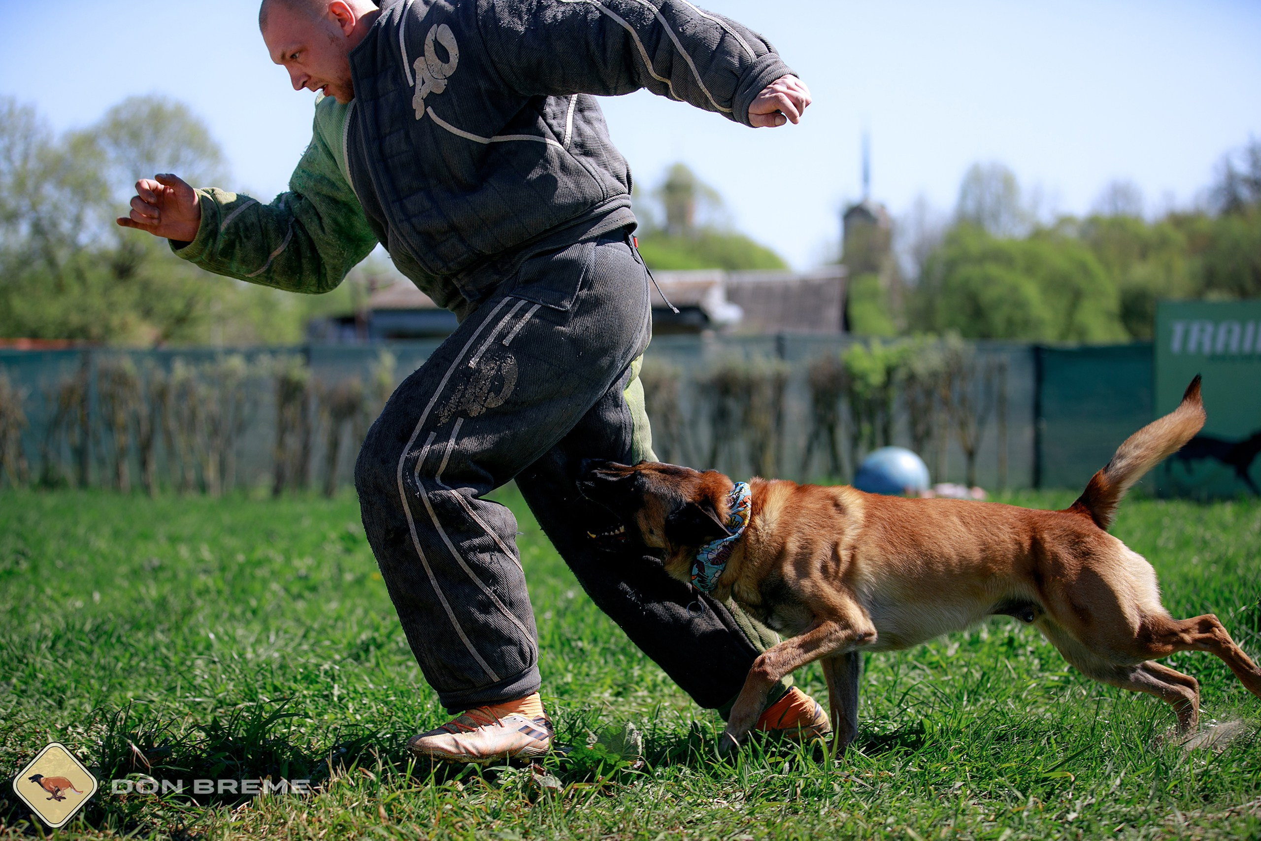 Семинар для фигурантов, день 3. Фотограф-анималист Mary Mart — Москва, Питер
