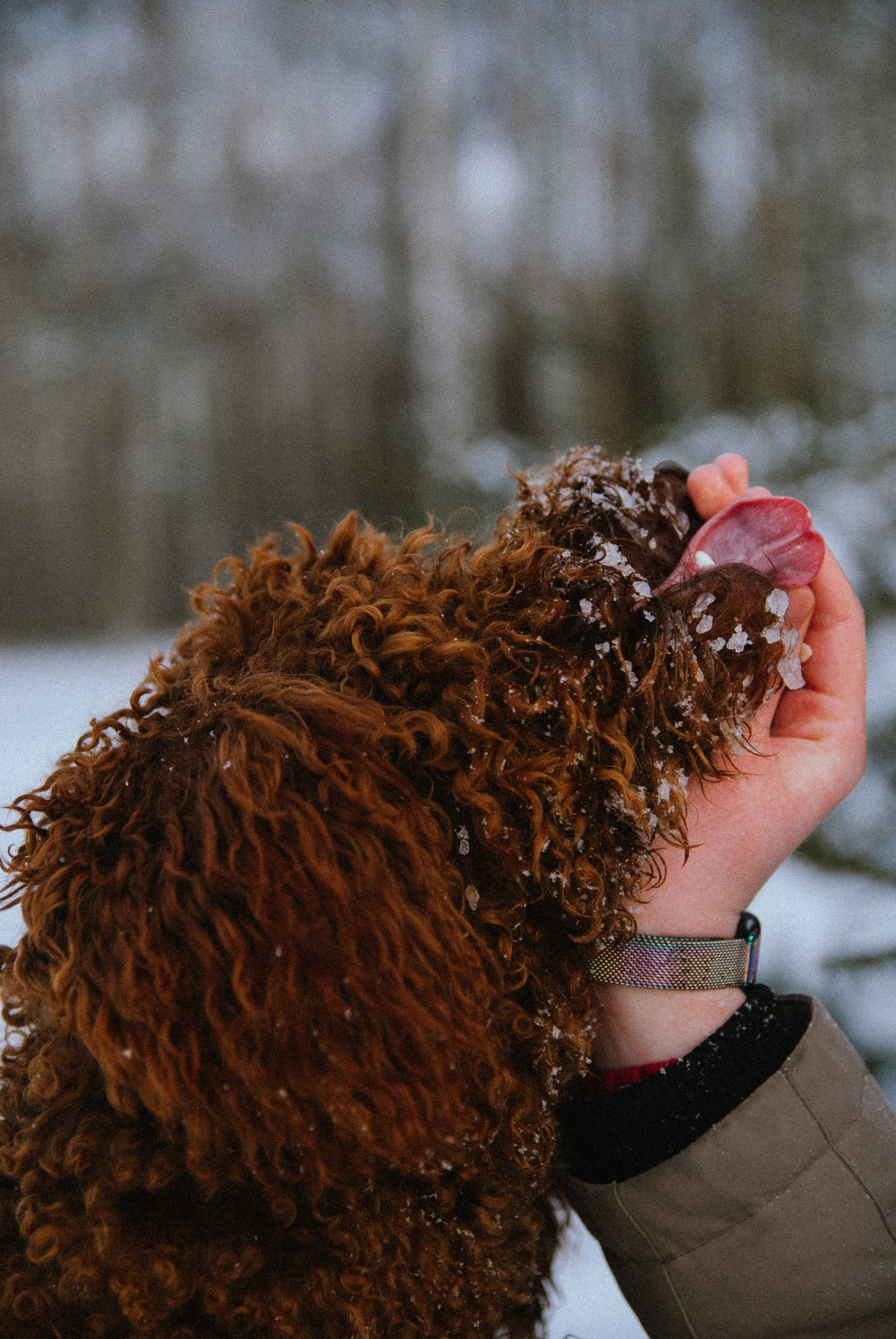 Зоопарк в моём багаже. Кошенкова Мария: портретный и репортажный фотограф. Санкт-Петербург