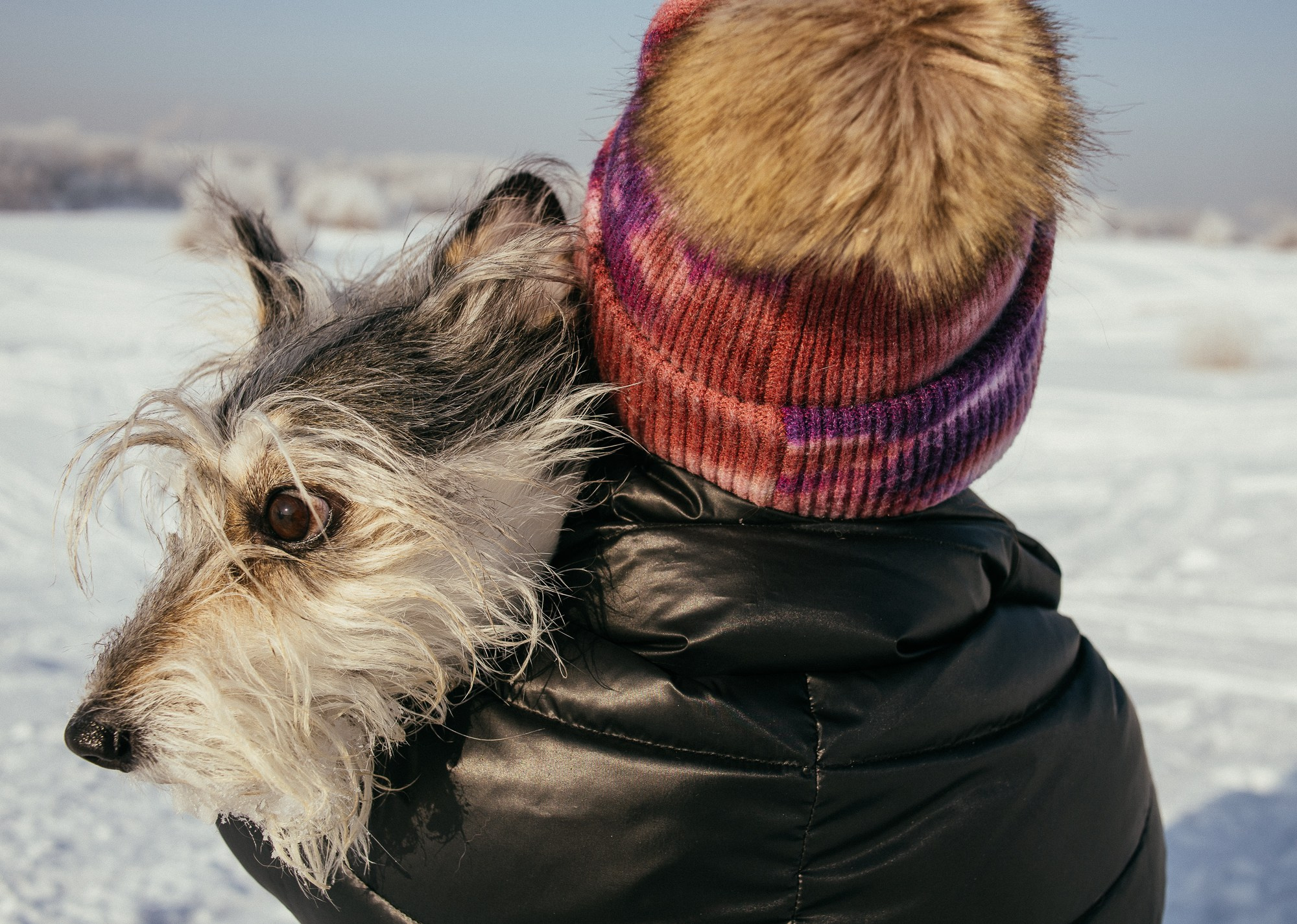 Оля и Молли. Фотограф в Новосибирске Евгений Маслов