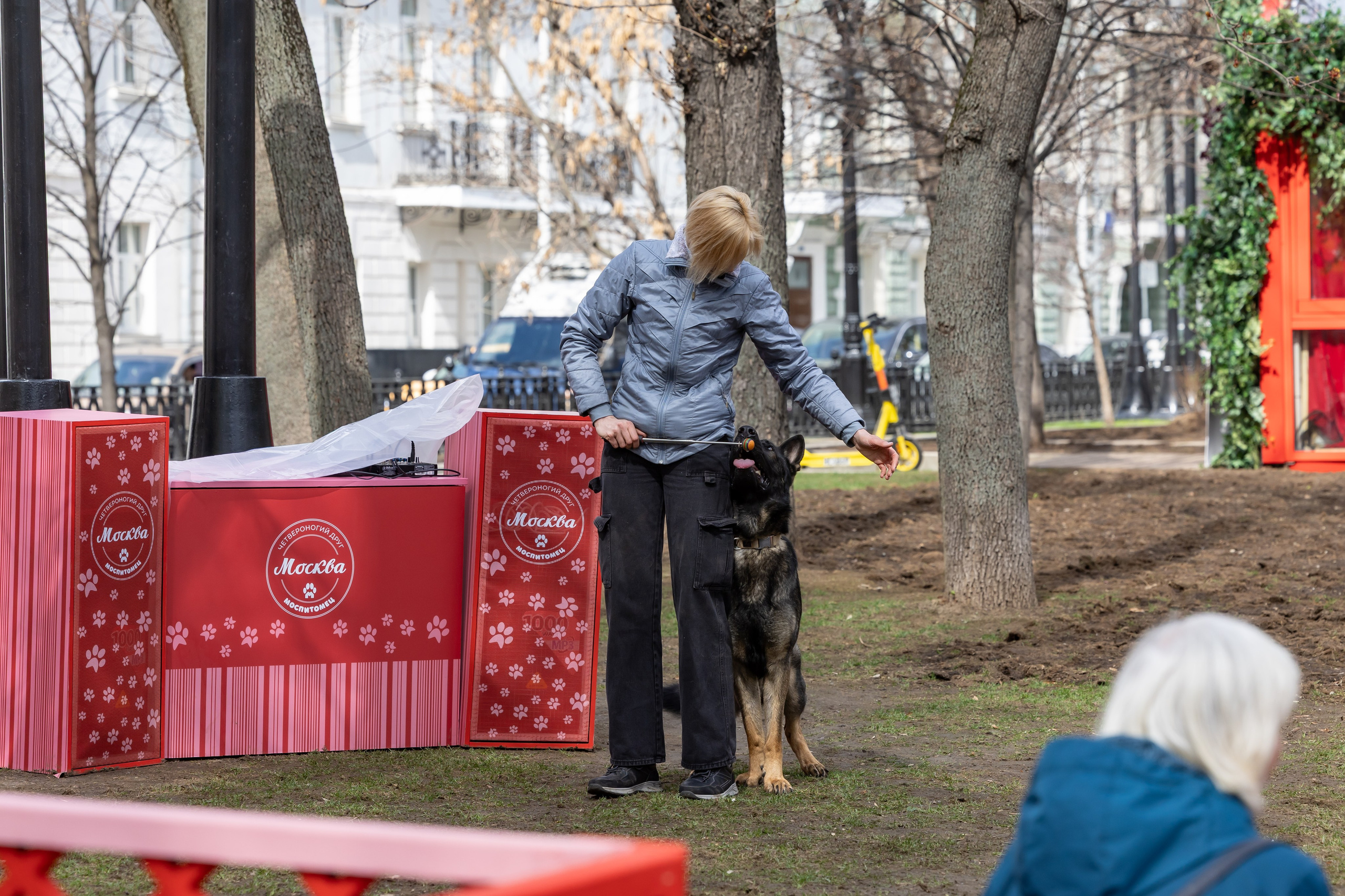 Проект «Моспитомец» на Тверском бульваре. Фотограф Владимир Охрименко