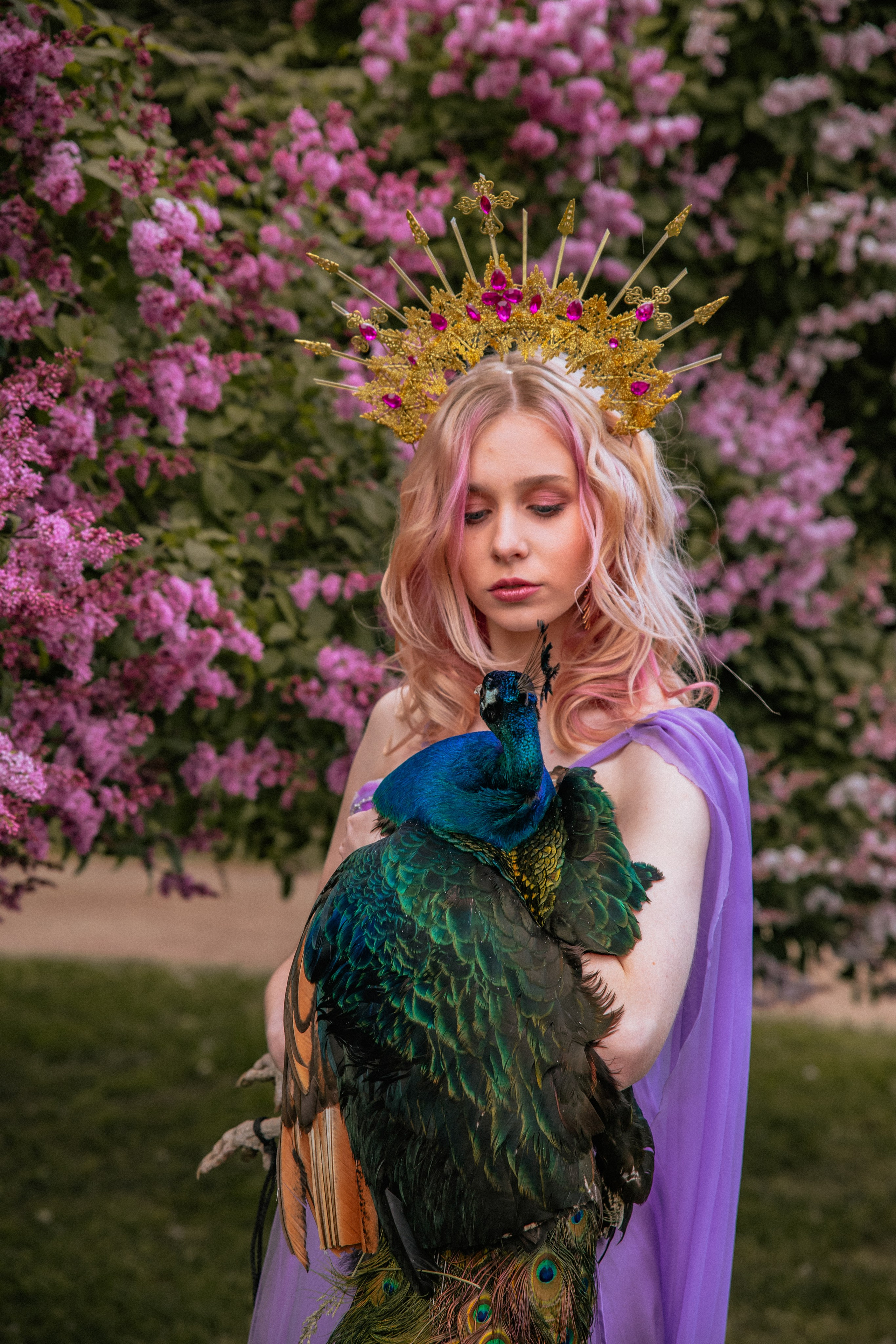 Павлин. Elena Sova — семейный и женский фотограф в Санкт-Петербурге