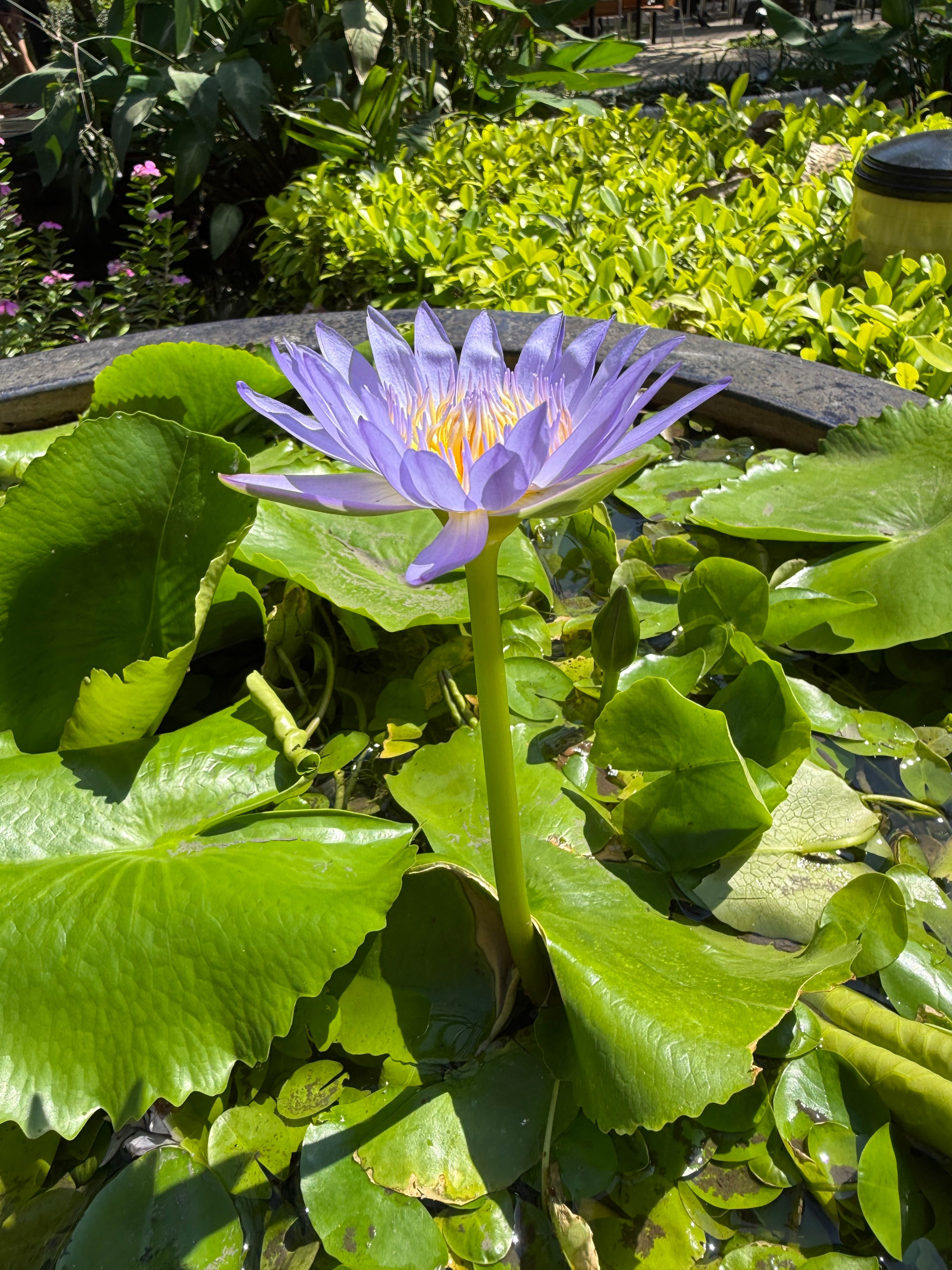 Фотограф Москва. Фотограф и художник в Москве Евгения Нюнина