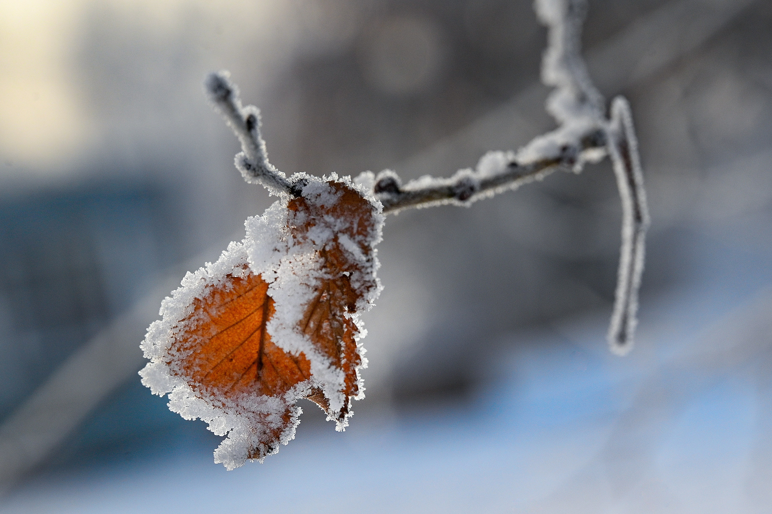 Сибирская зима прекрасна!. FotoGraf