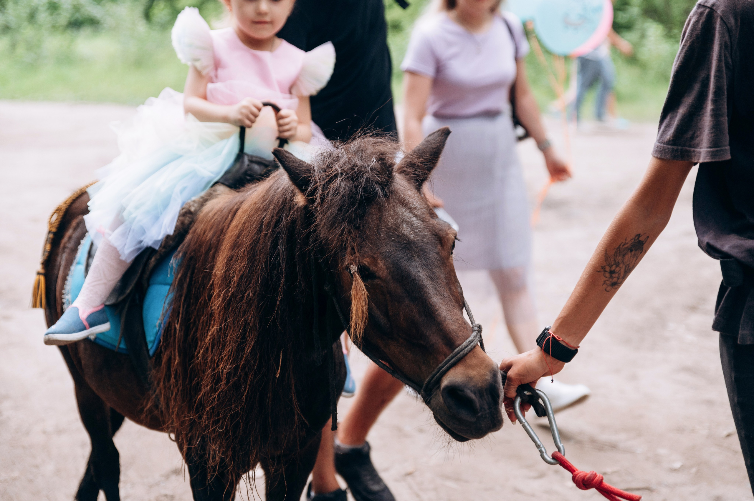Конная прогулка. Фотограф в Новосибирске