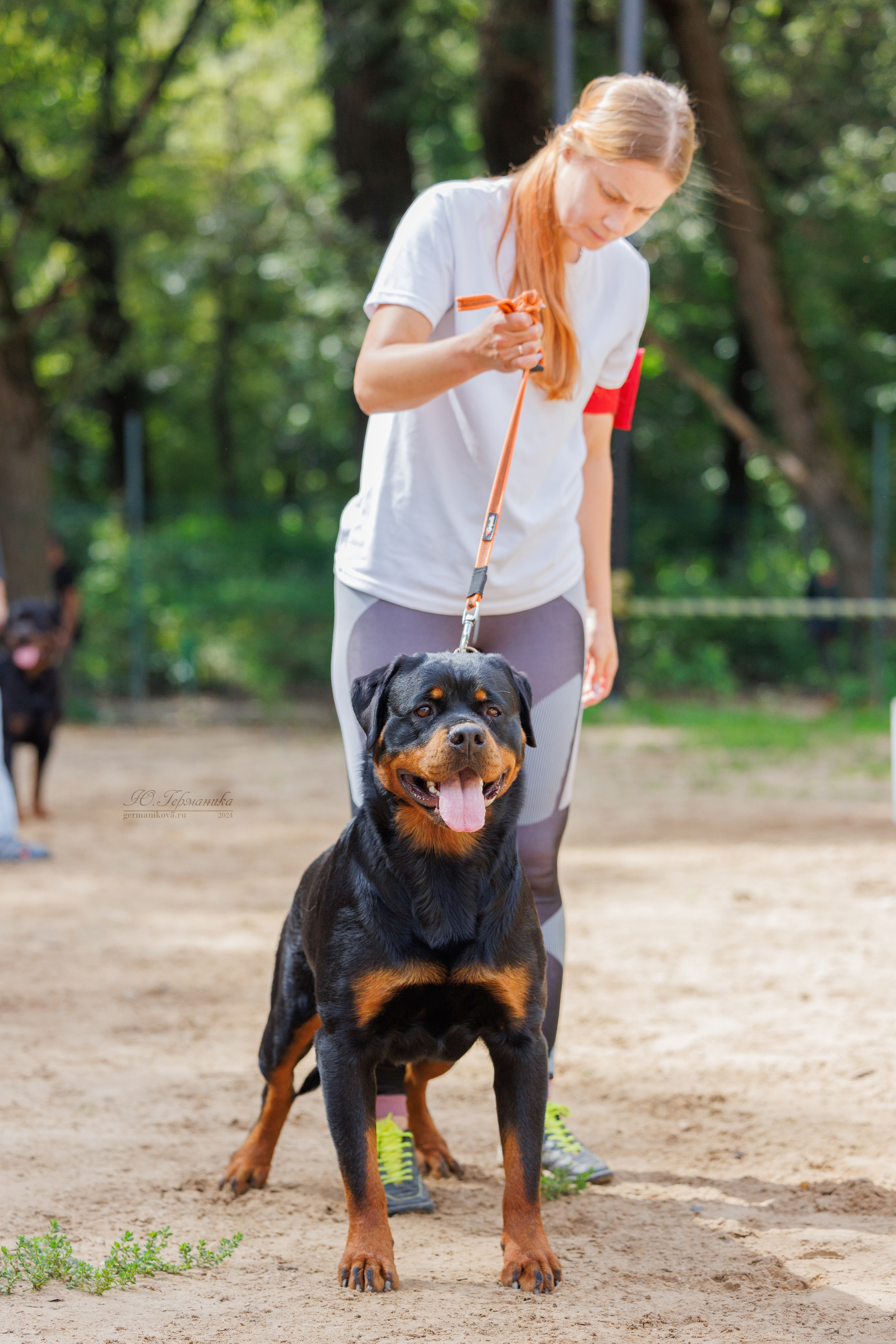 Рязань-Ховрино 10-11.08.2024 3хмоно ротвейлеров. Фотограф-анималист Юлия Германика