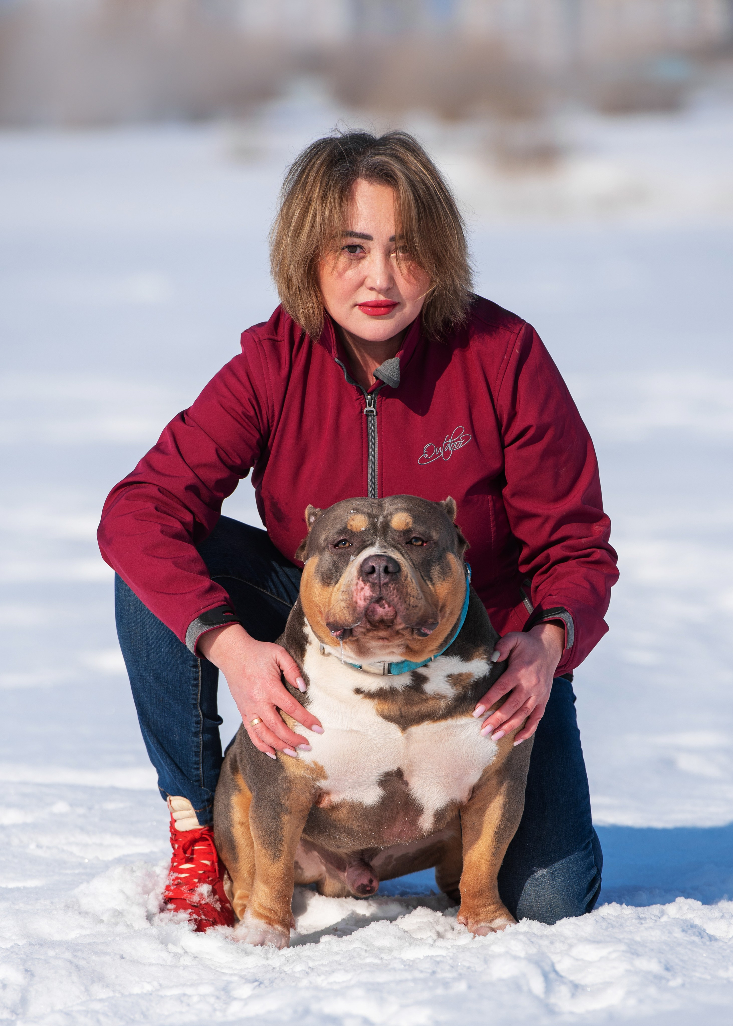 Булли. Дог-фотограф в Тюмени Александра Королева