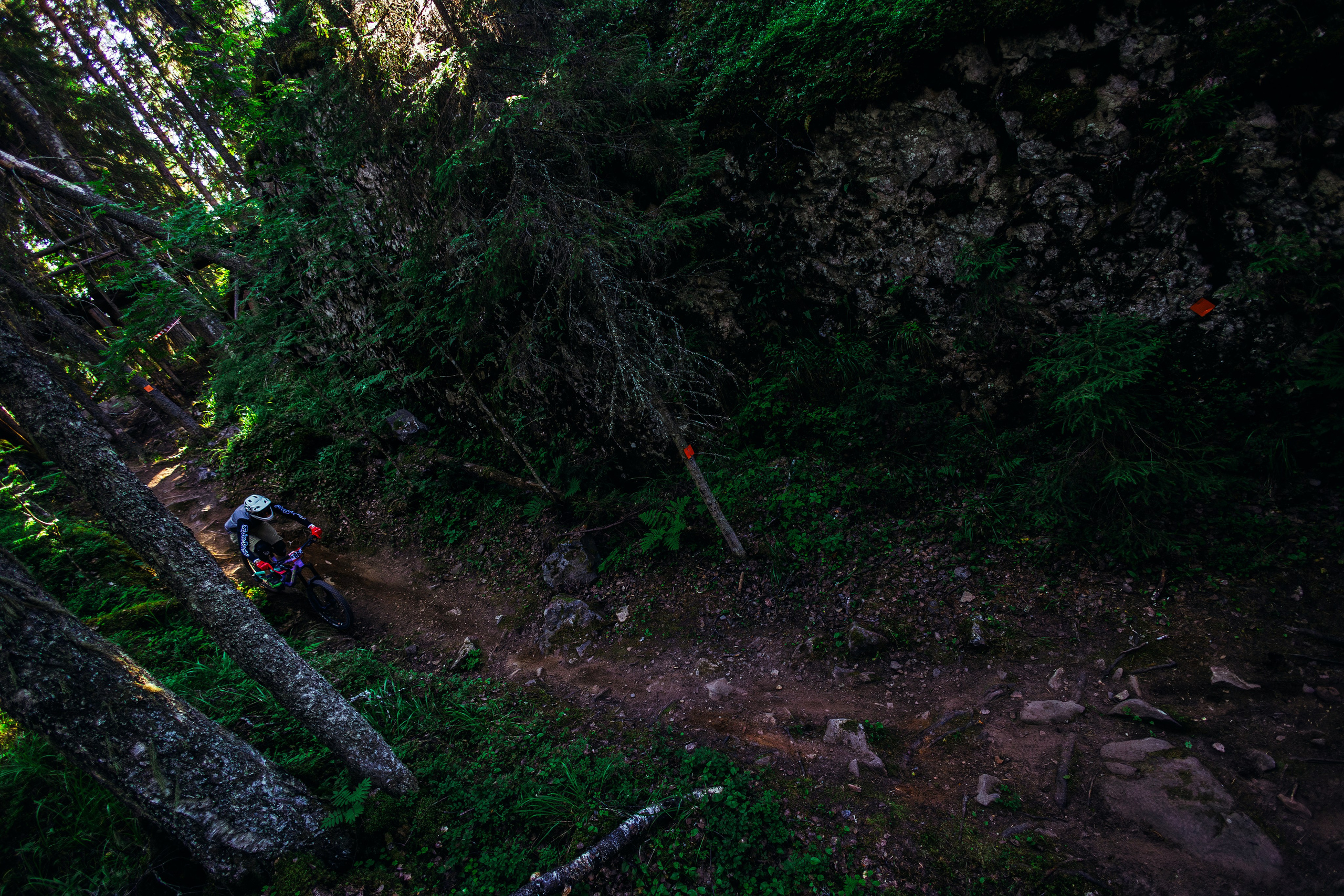 Гонка Ялгора. Фотограф анималист Никита Натальный