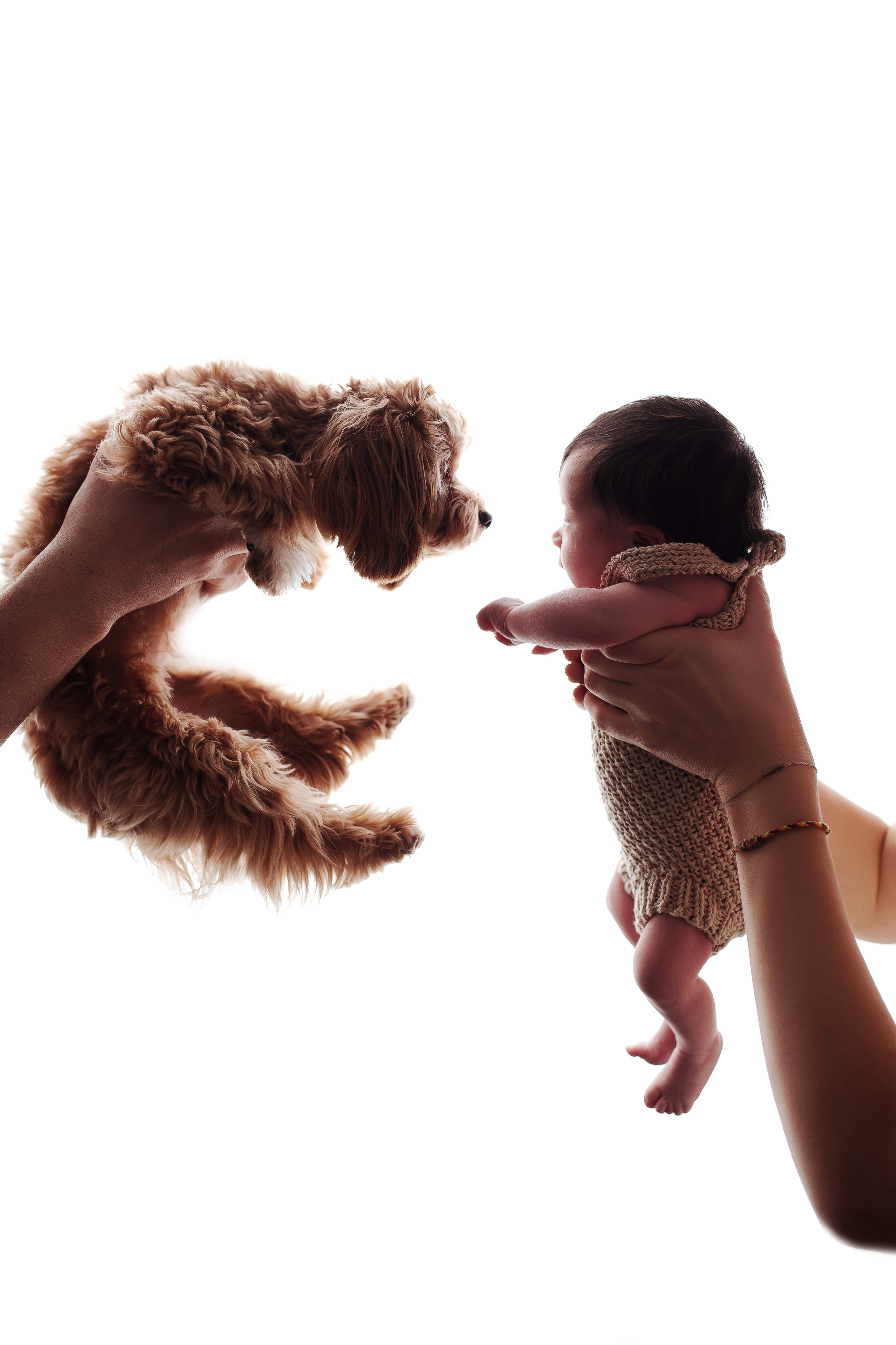 Новорожденные. Детский фотограф новорожденных Москва. годики под ключ. своя студия