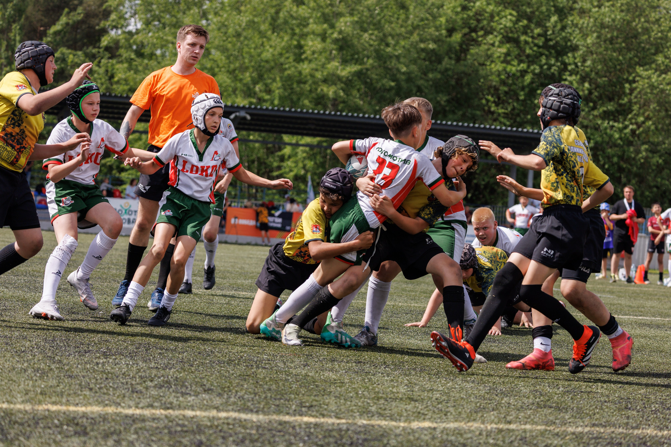 Золотой овал 2025. Спортивный фотограф Алексей Соломин