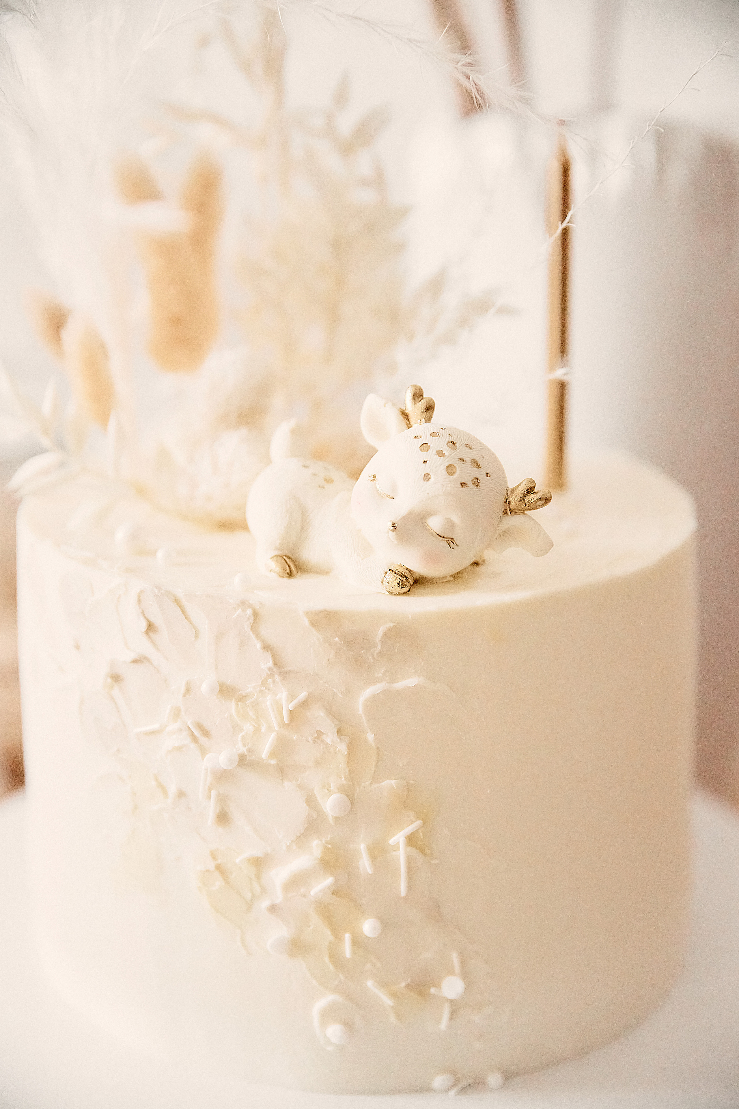 День рождение Иларии. Свадебный фотограф Чайковский