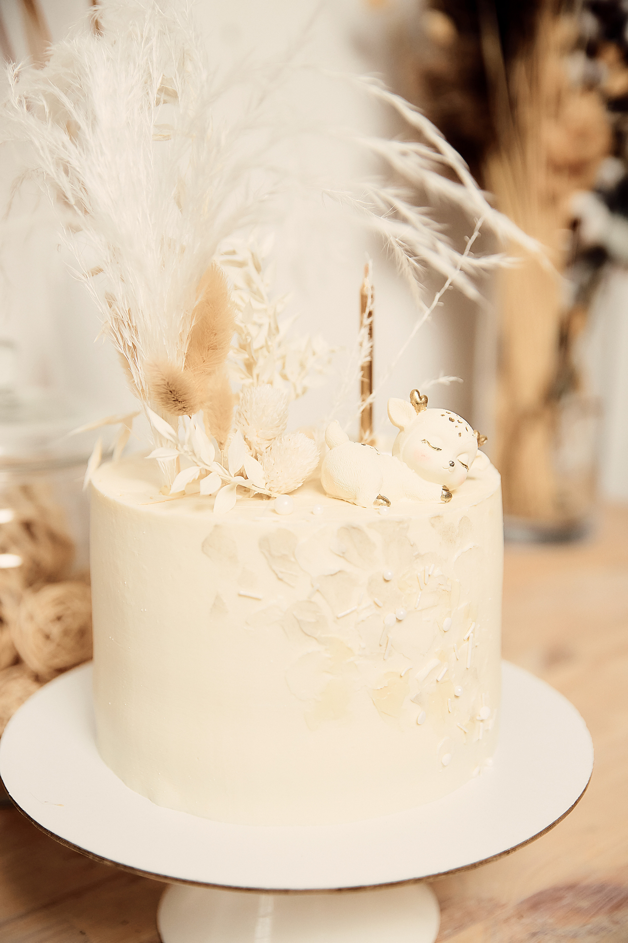 День рождение Иларии. Свадебный фотограф Чайковский