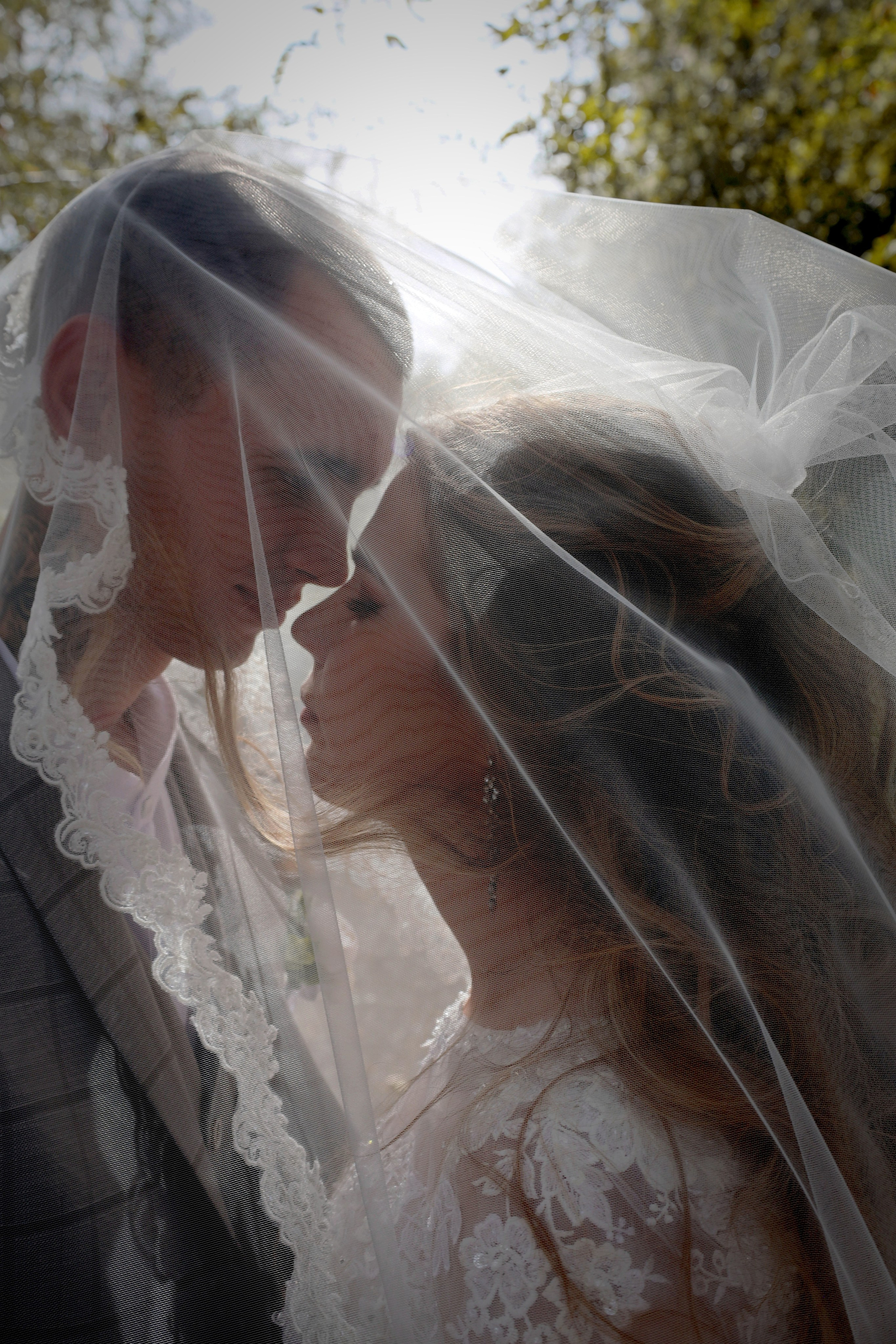 Алина и Дмитрий г. Шахты 31 августа 2024. Свадебный фотограф ростовская область