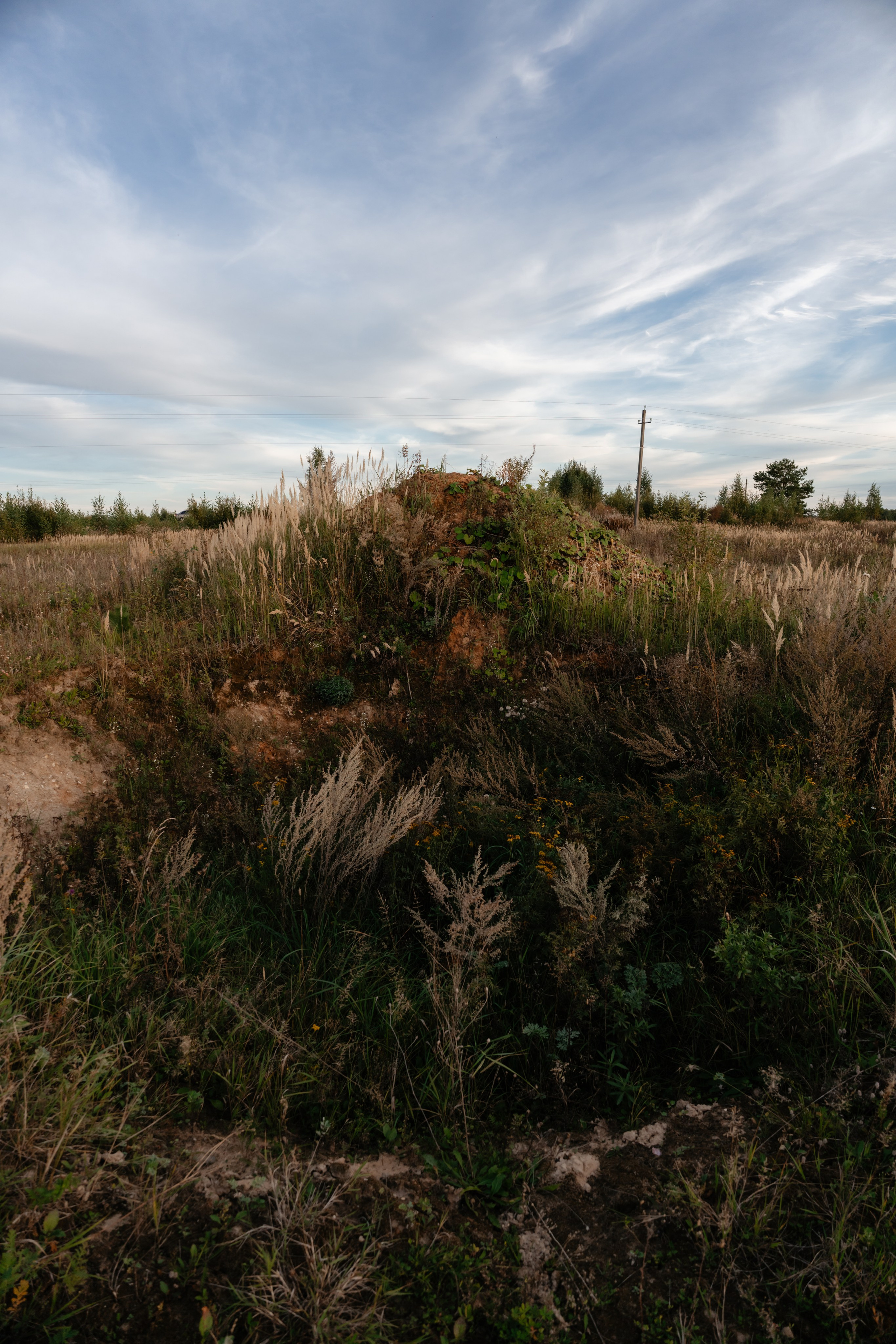 Карьер близ Никола-Ленивец. Vlad Trykov