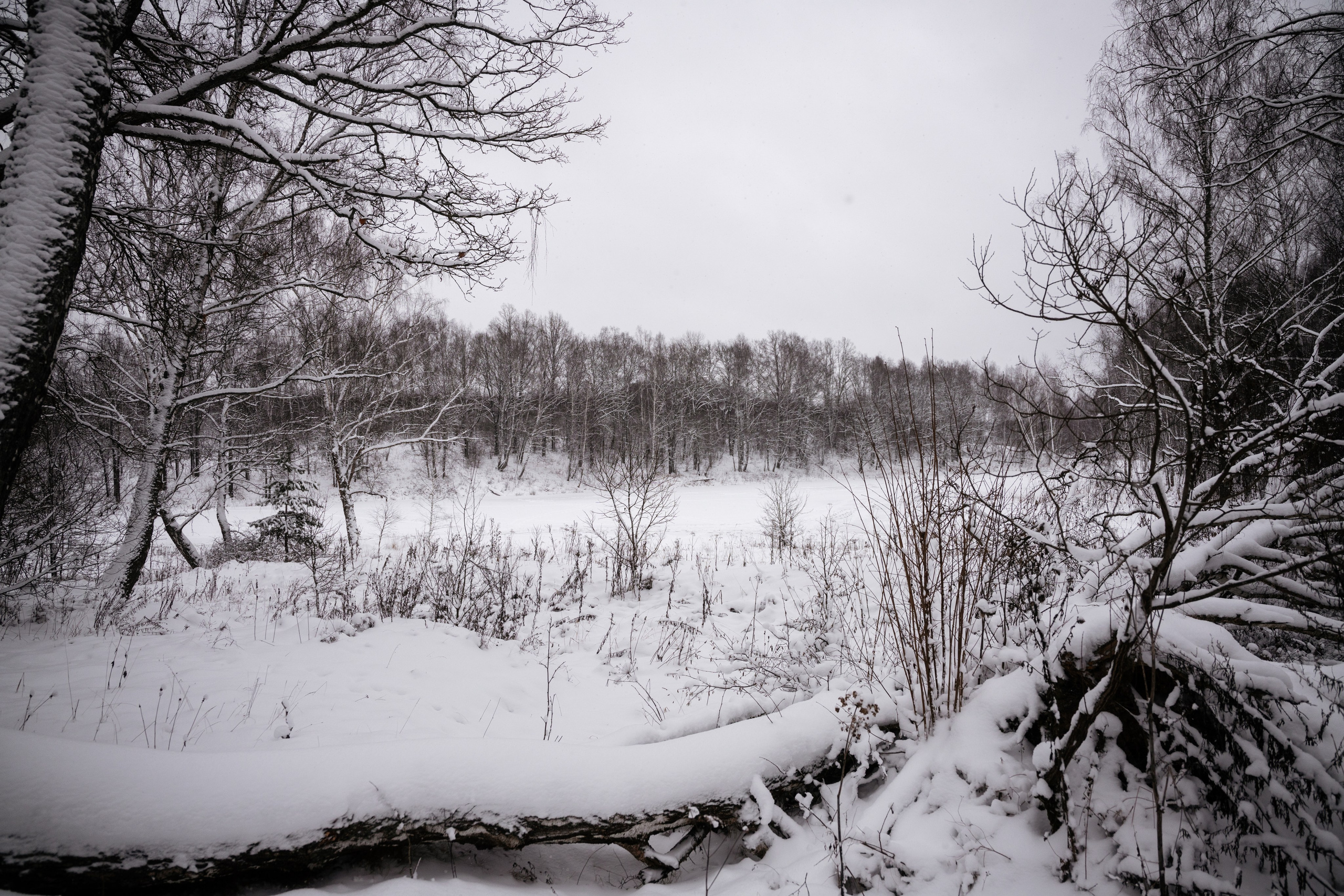 Поездка к р. Песочня и деревне Раевское. Vlad Trykov