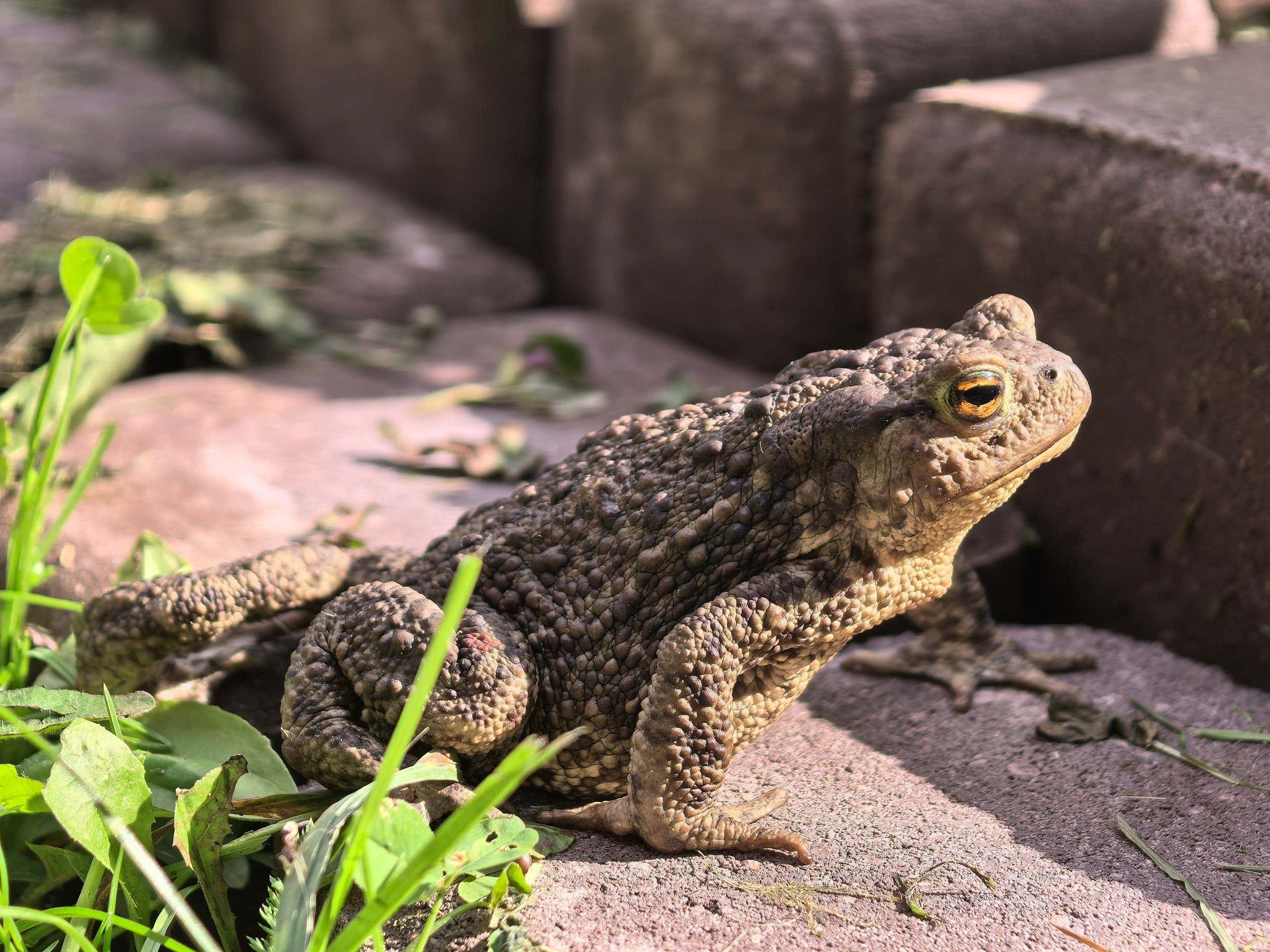 Чудесная природа. Школьные выпускные альбомы в Москве Марина Николаева