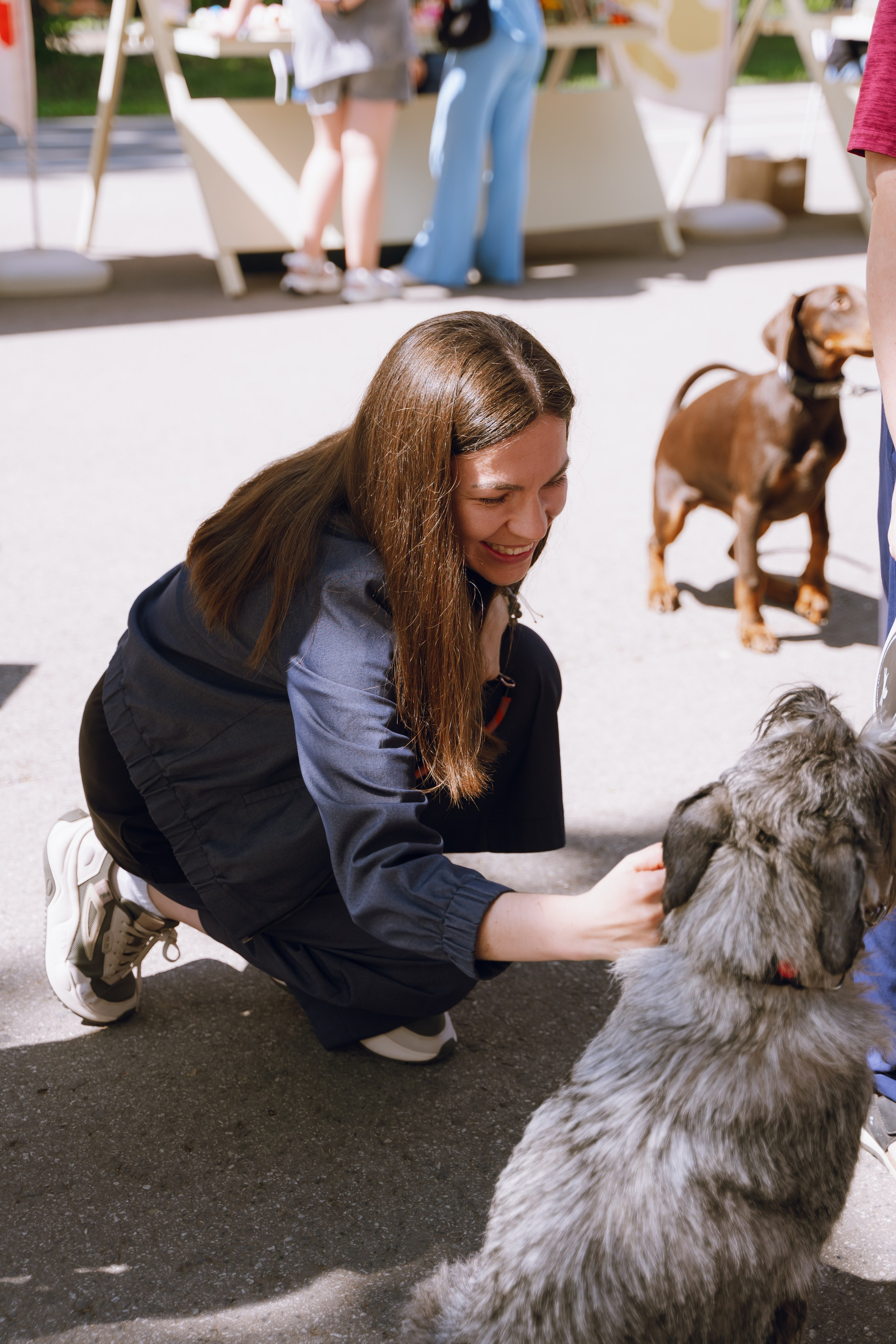Площадка фестиваля «Мампус и его друзья» в Лесопарке 2025. Фотограф Надежда Погребняк | Рязань | Москва