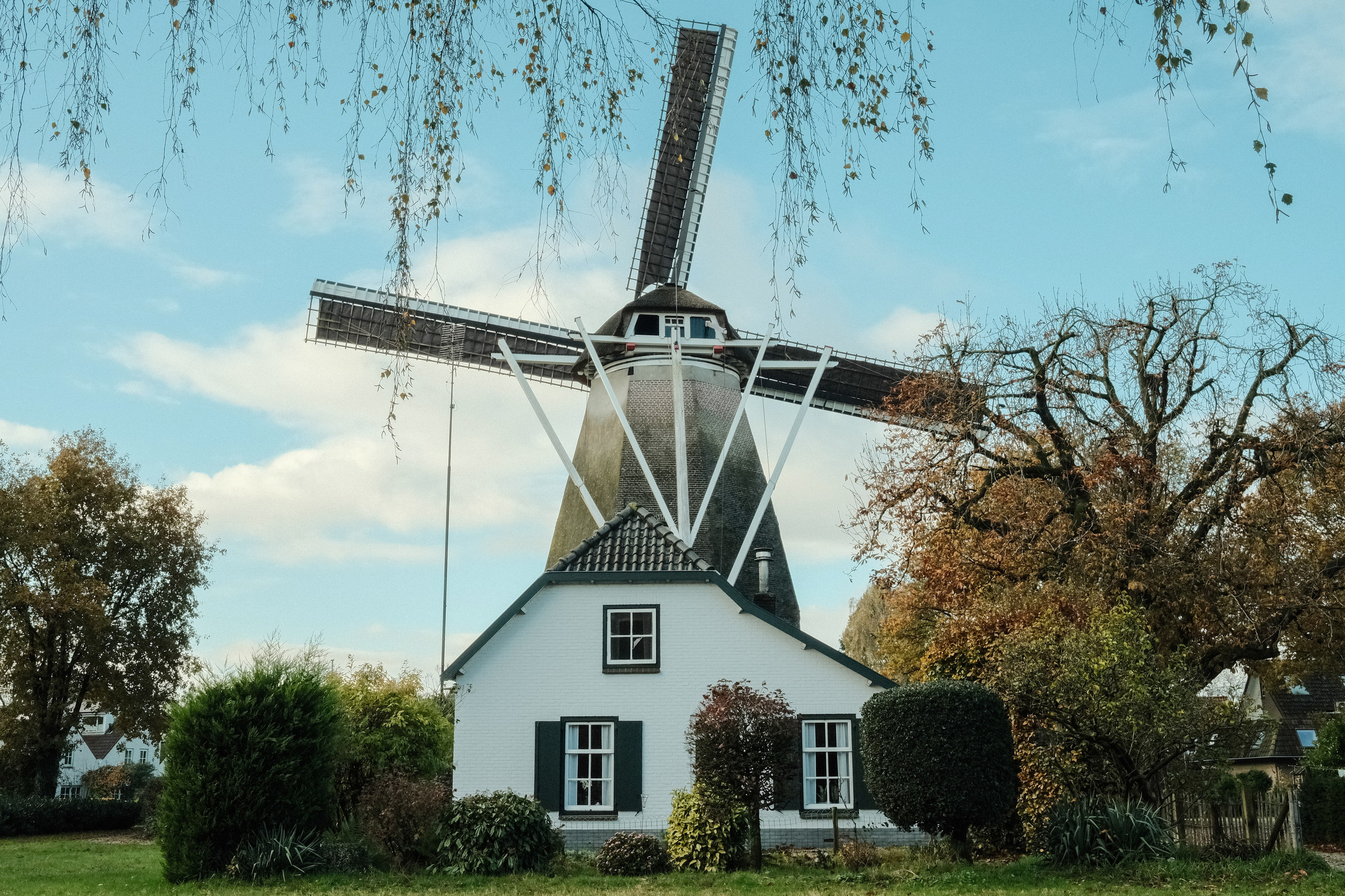 Фотографии Нидерландов | Филипп Линзин. Репортажный и портретный фотограф в Санкт-Петербурге Филипп Линзин