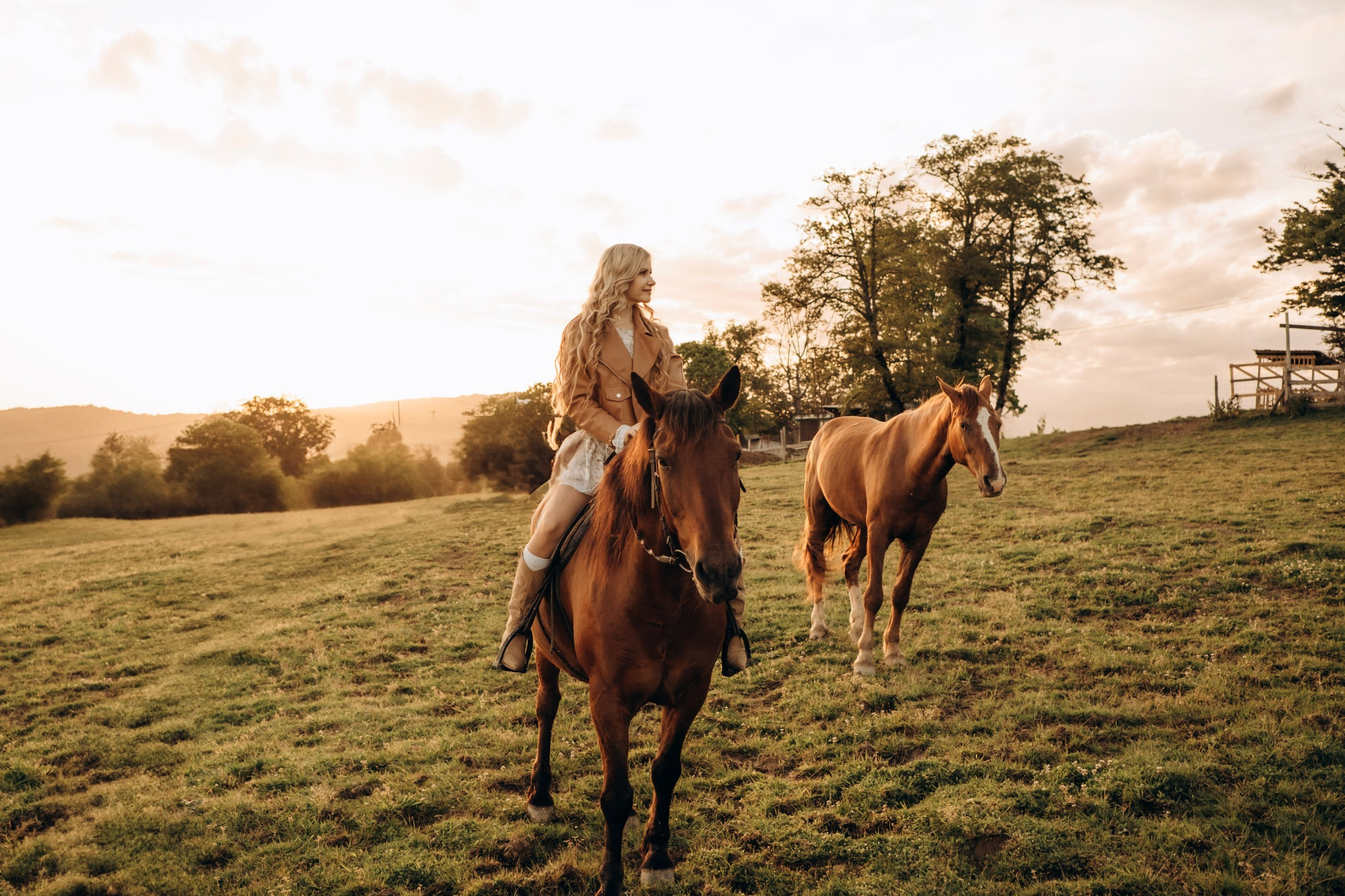 Конюшня. Главная