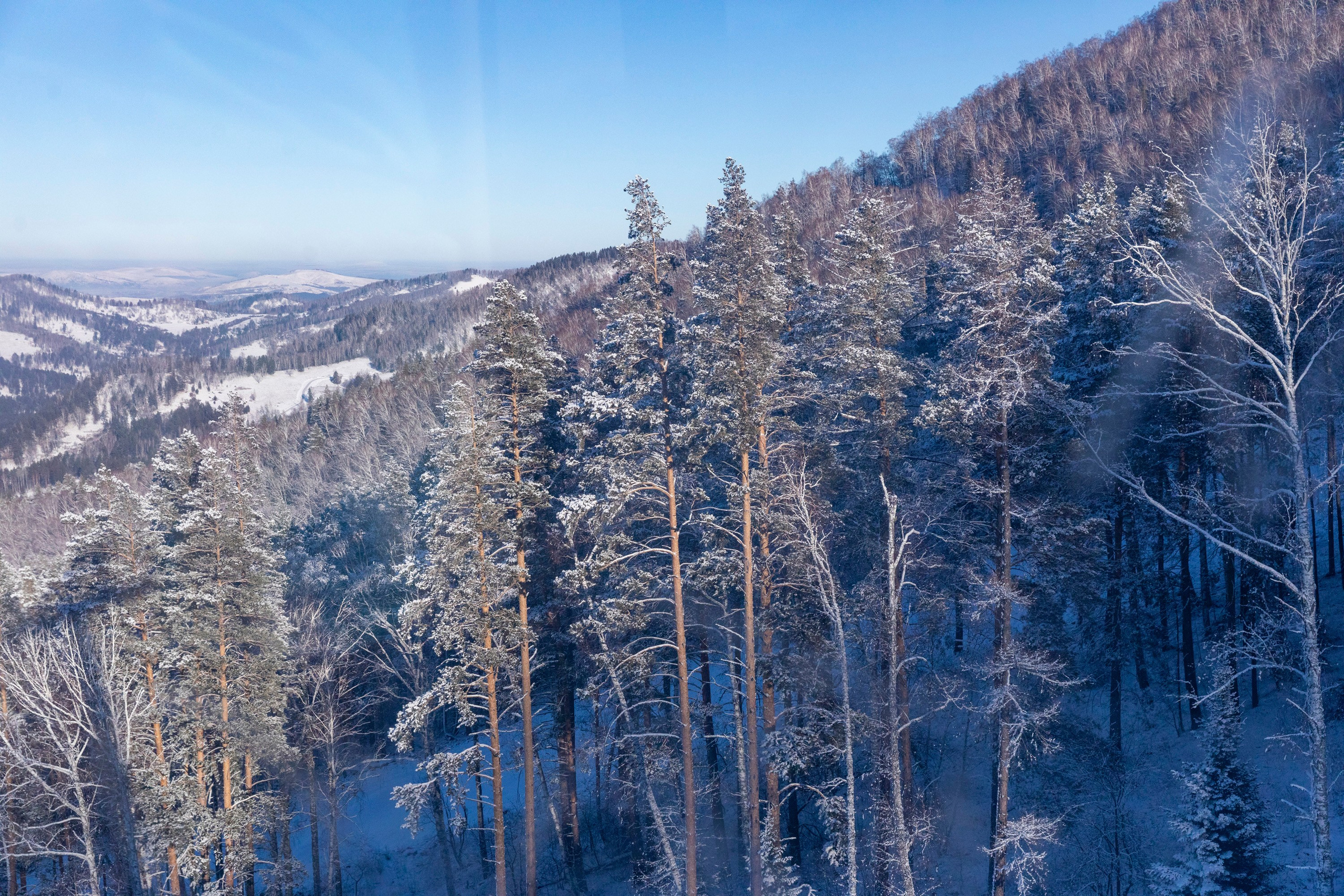 Алтай в декабре. Марина Захарова — Фотограф. Москва / Marina Zakharova — Photographer
